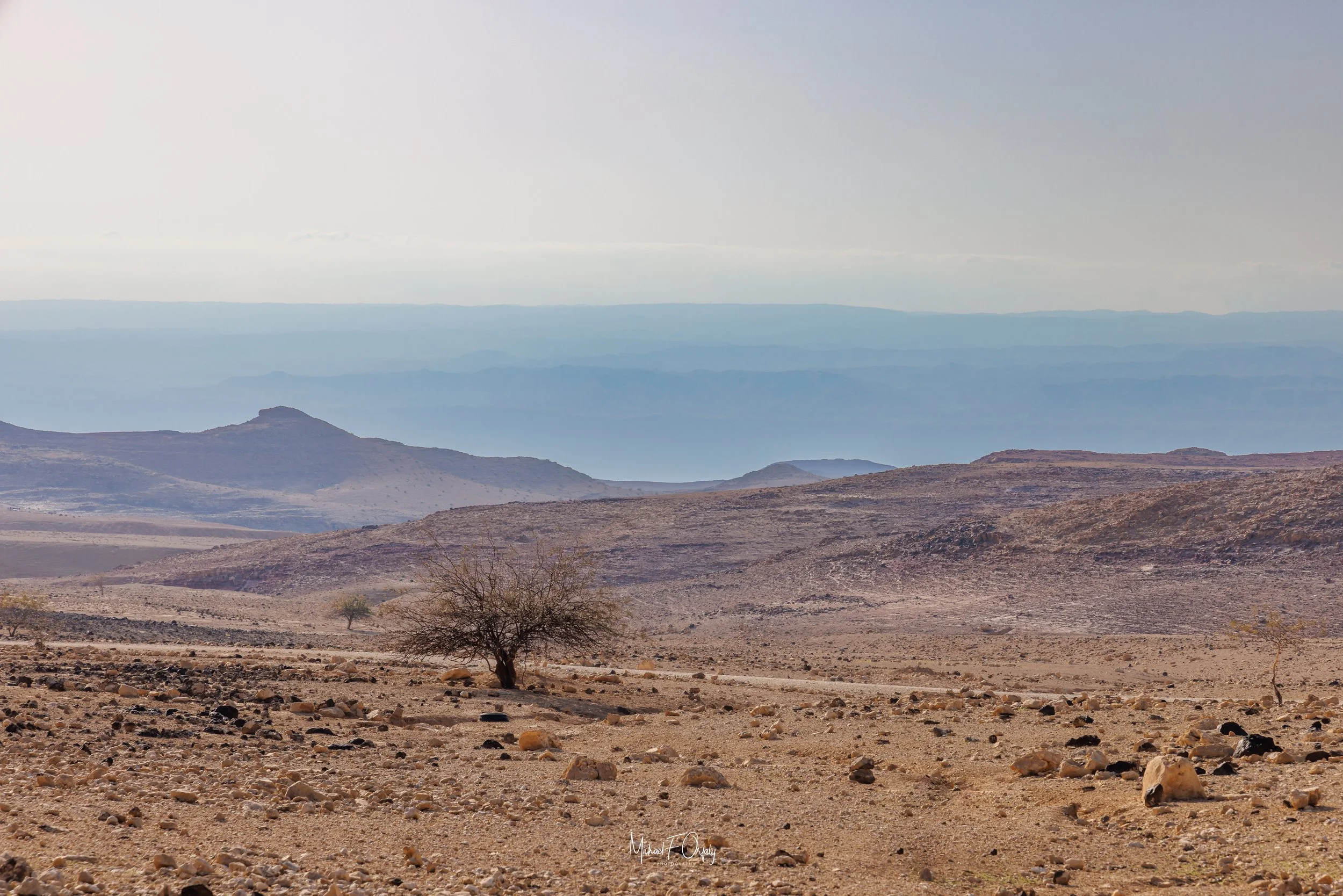 230210_R5_2862.jpg