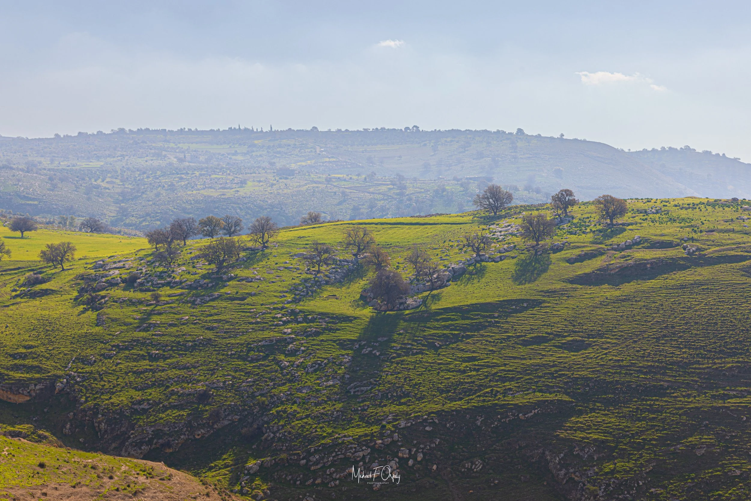 230217_R5_3086.jpg