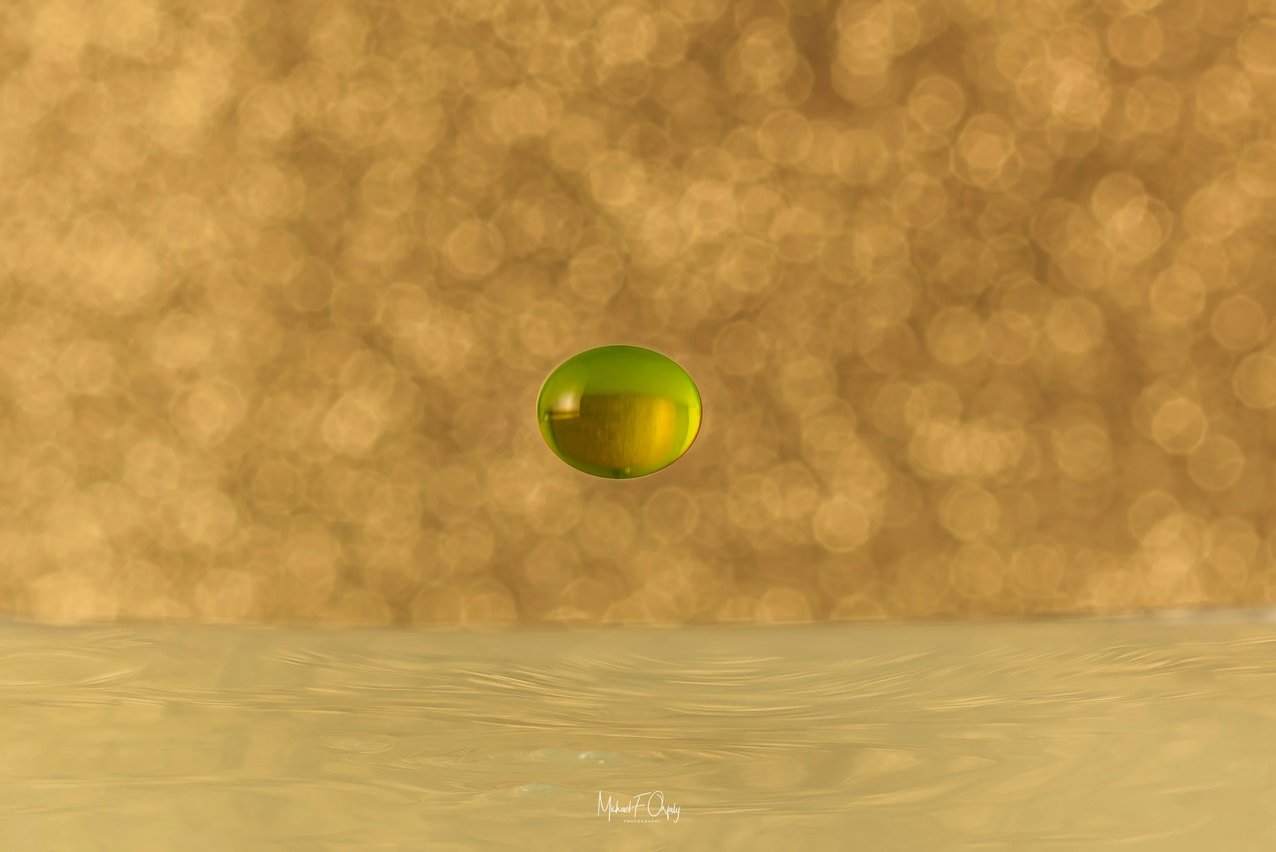 220121_5_06680-Enhanced-NR.jpg