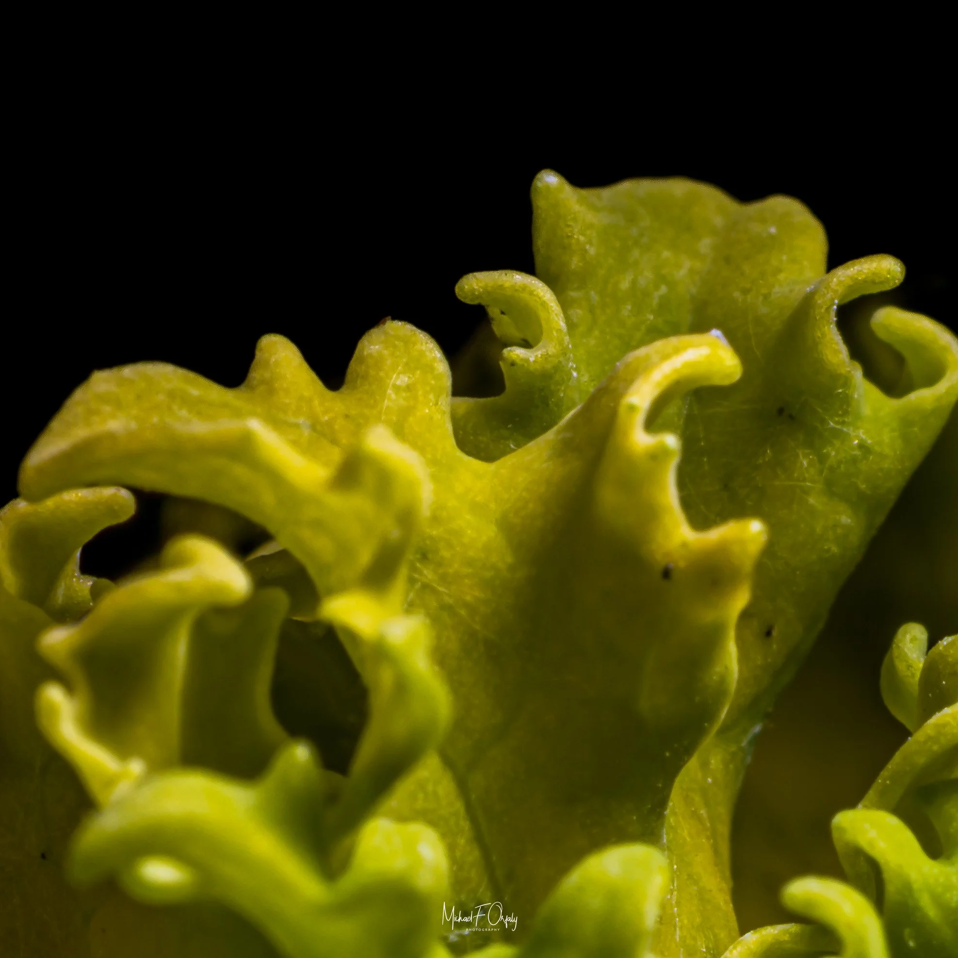 240202_R5_0759.jpg