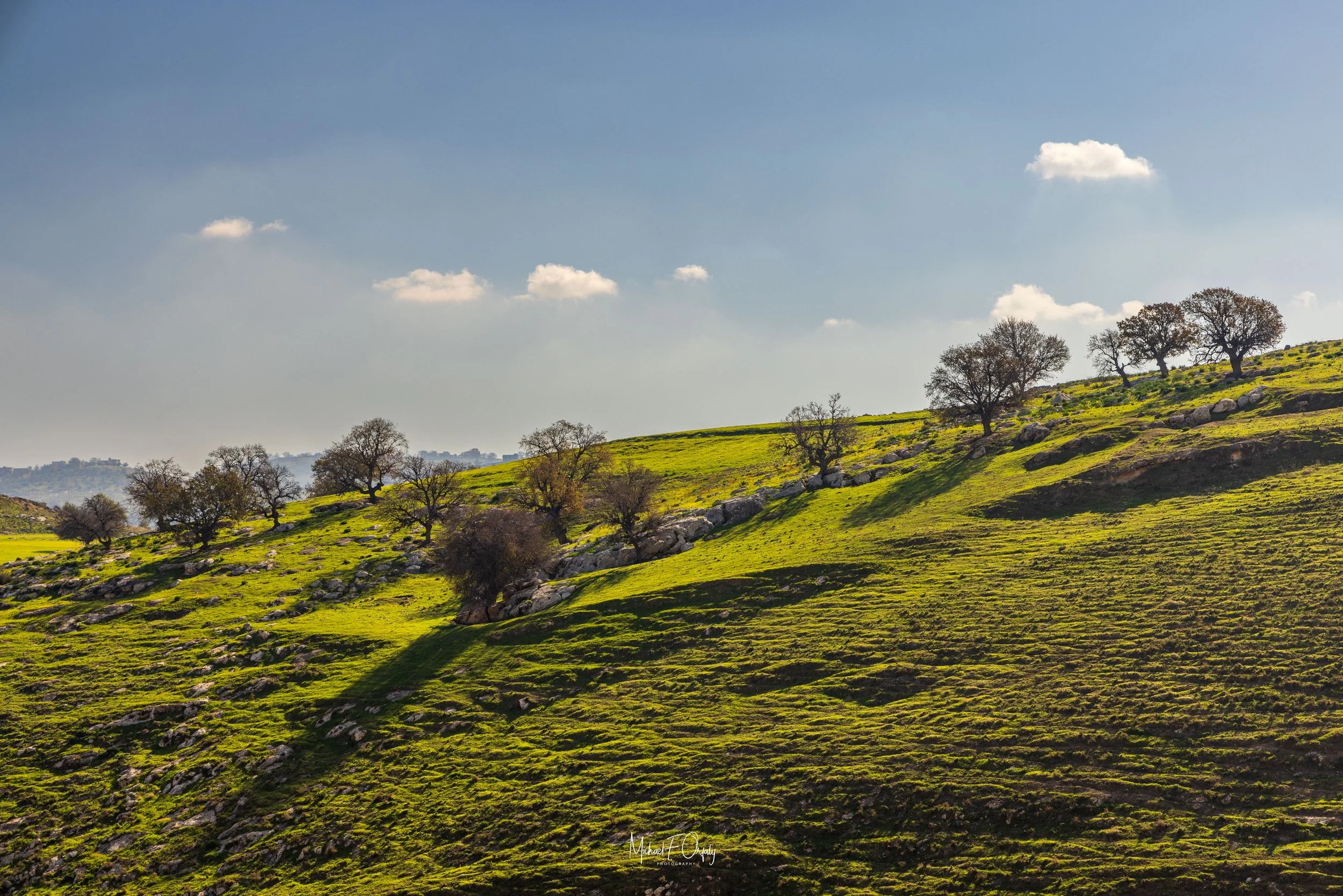 230217_R5_3099.jpg