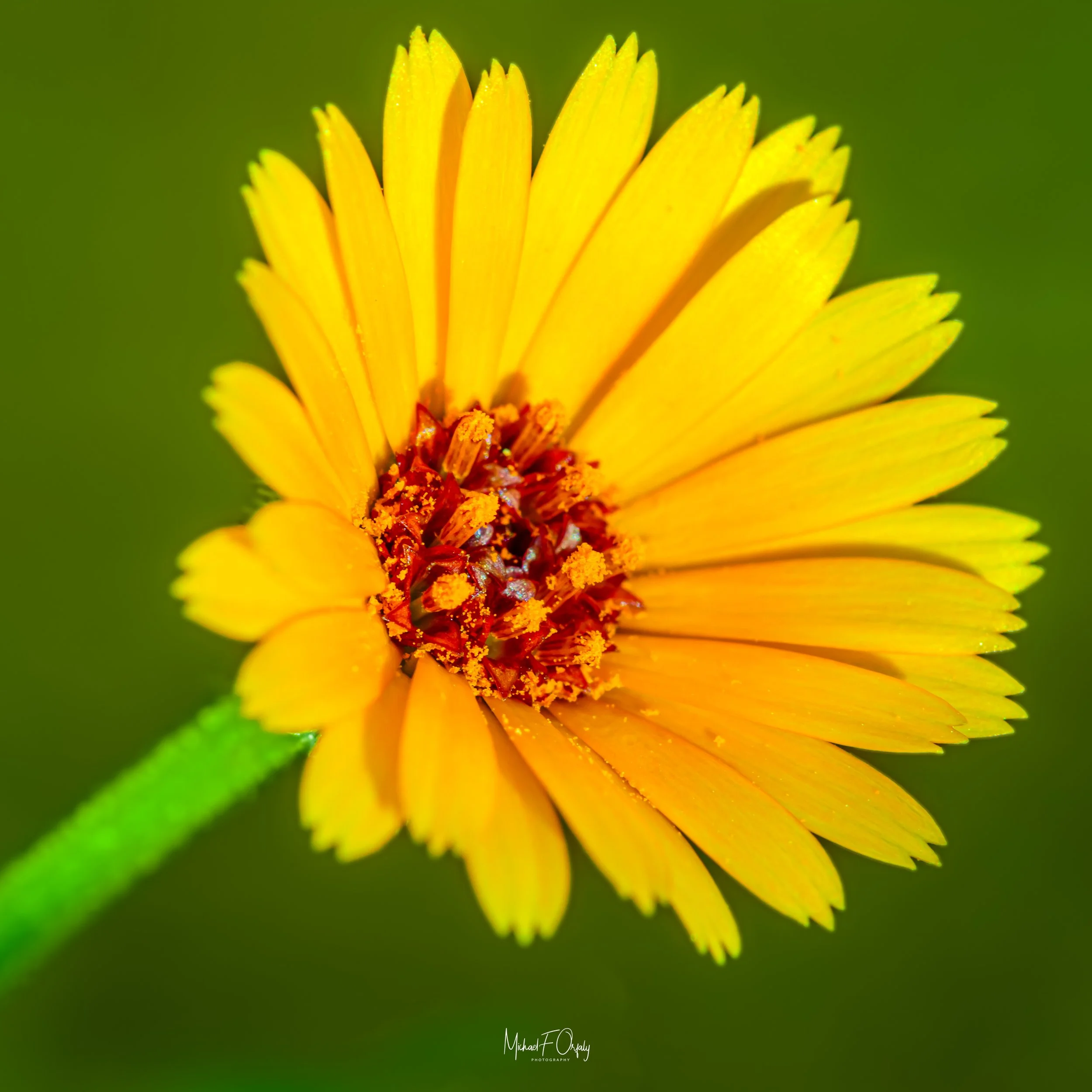 _7D23870.jpg