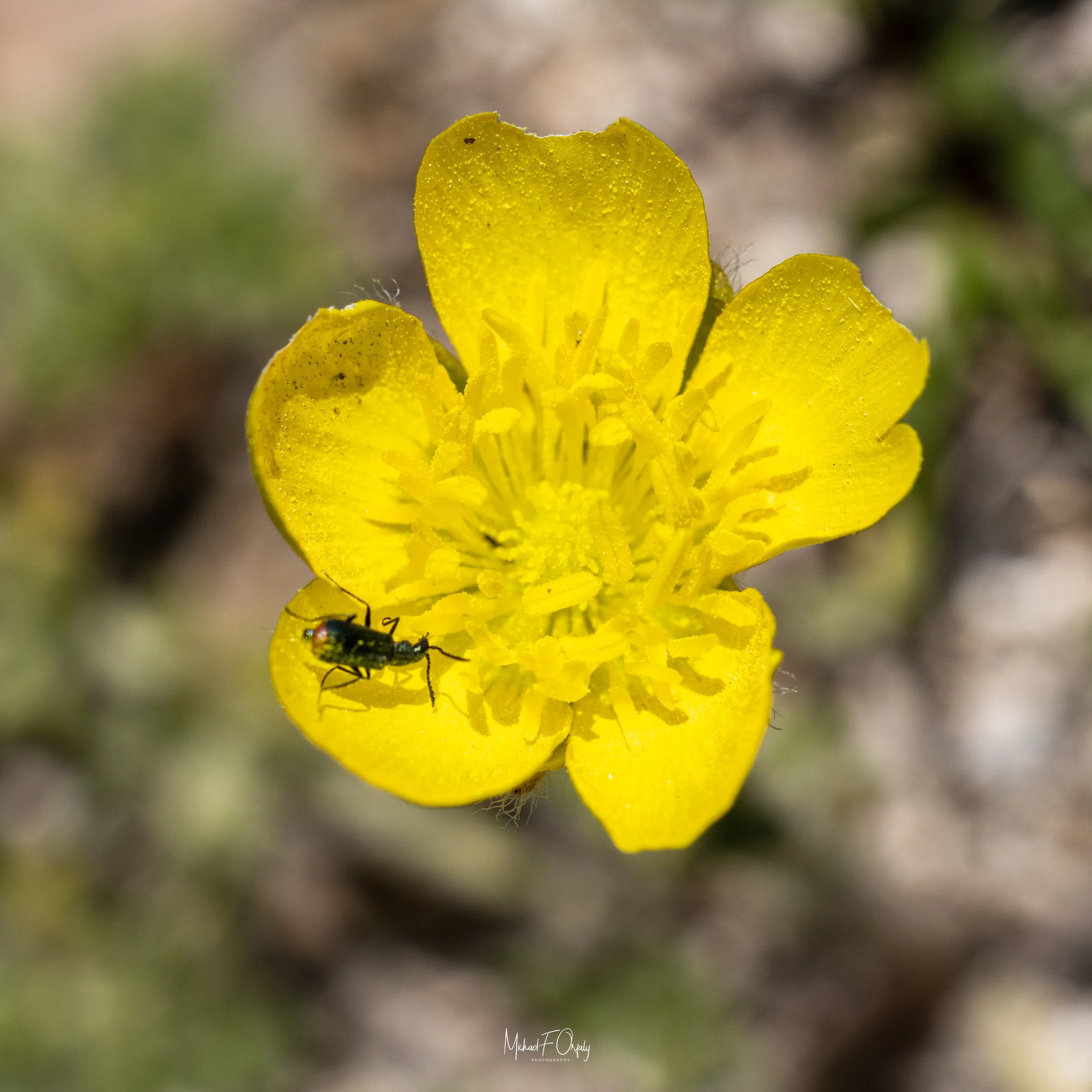 230310_R7_5543.jpg