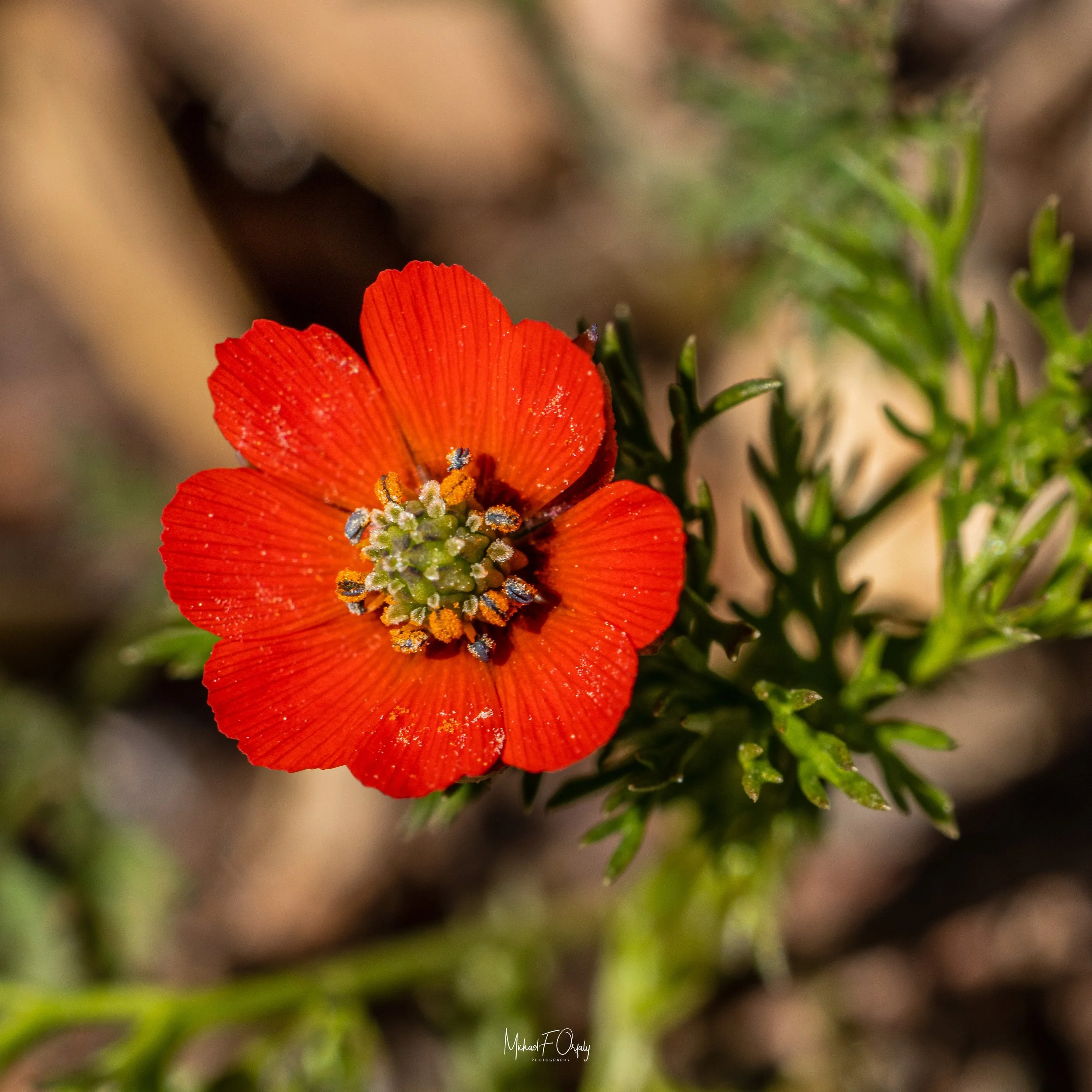 230310_R7_5708.jpg