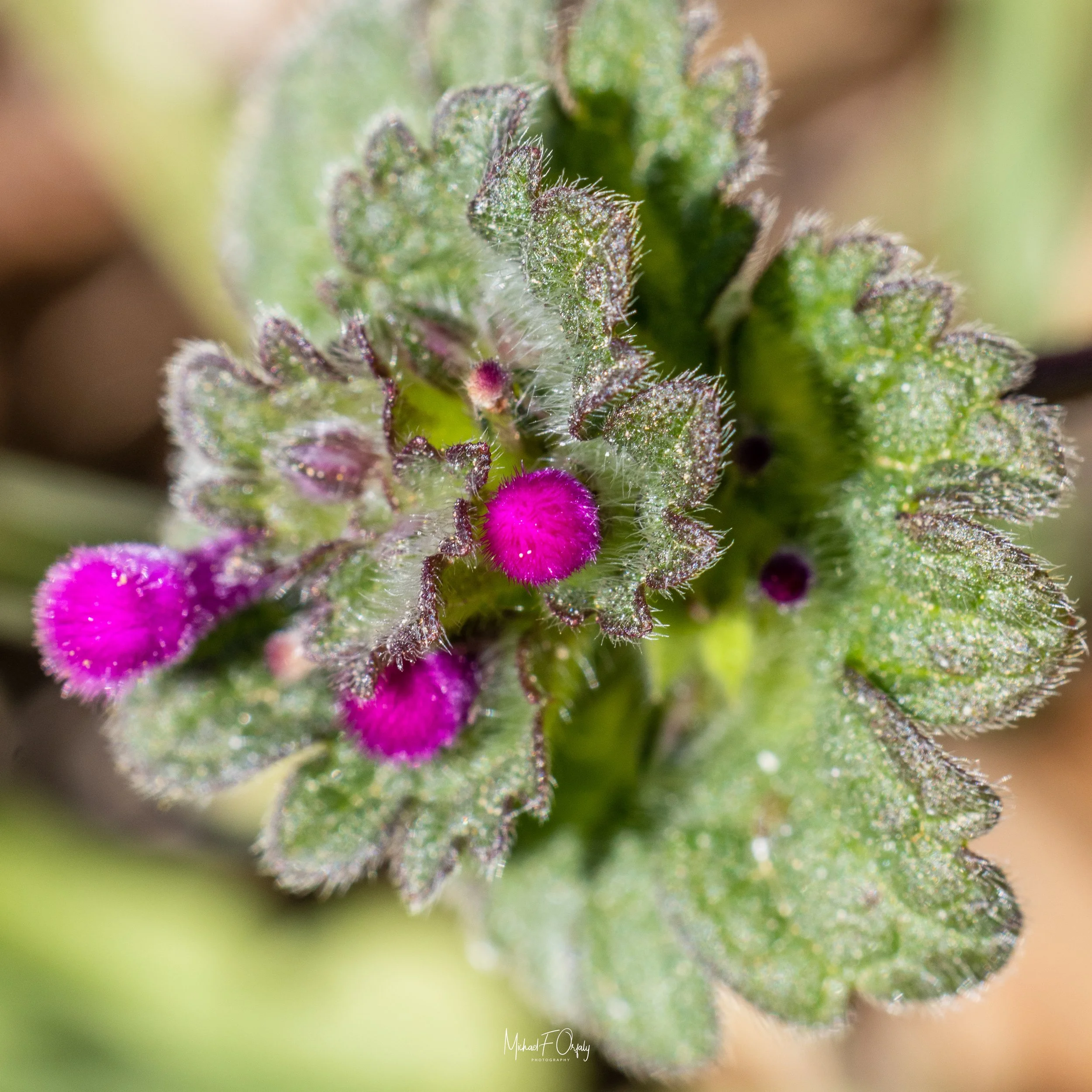 230310_R7_6046.jpg