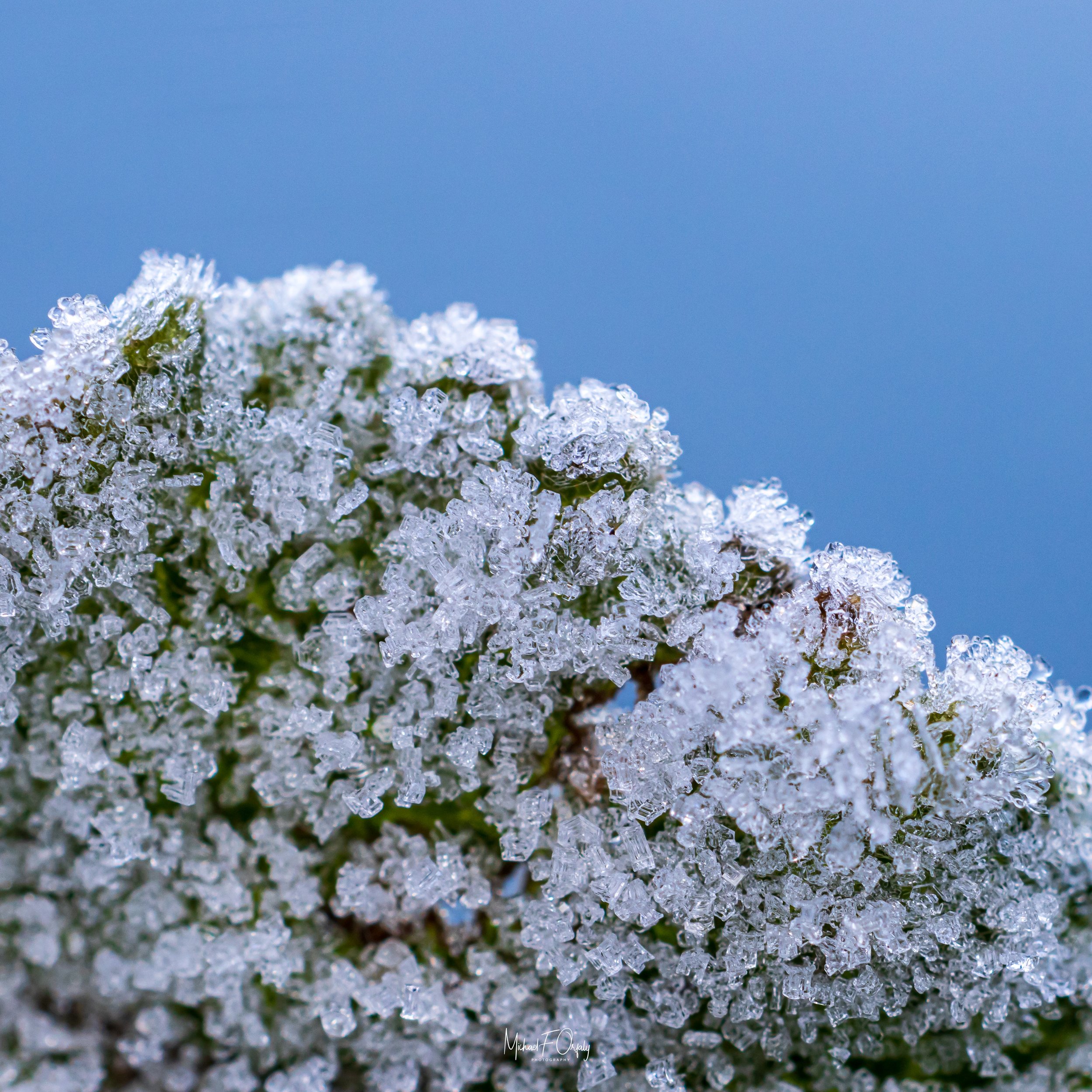 230217_R7_3792.jpg