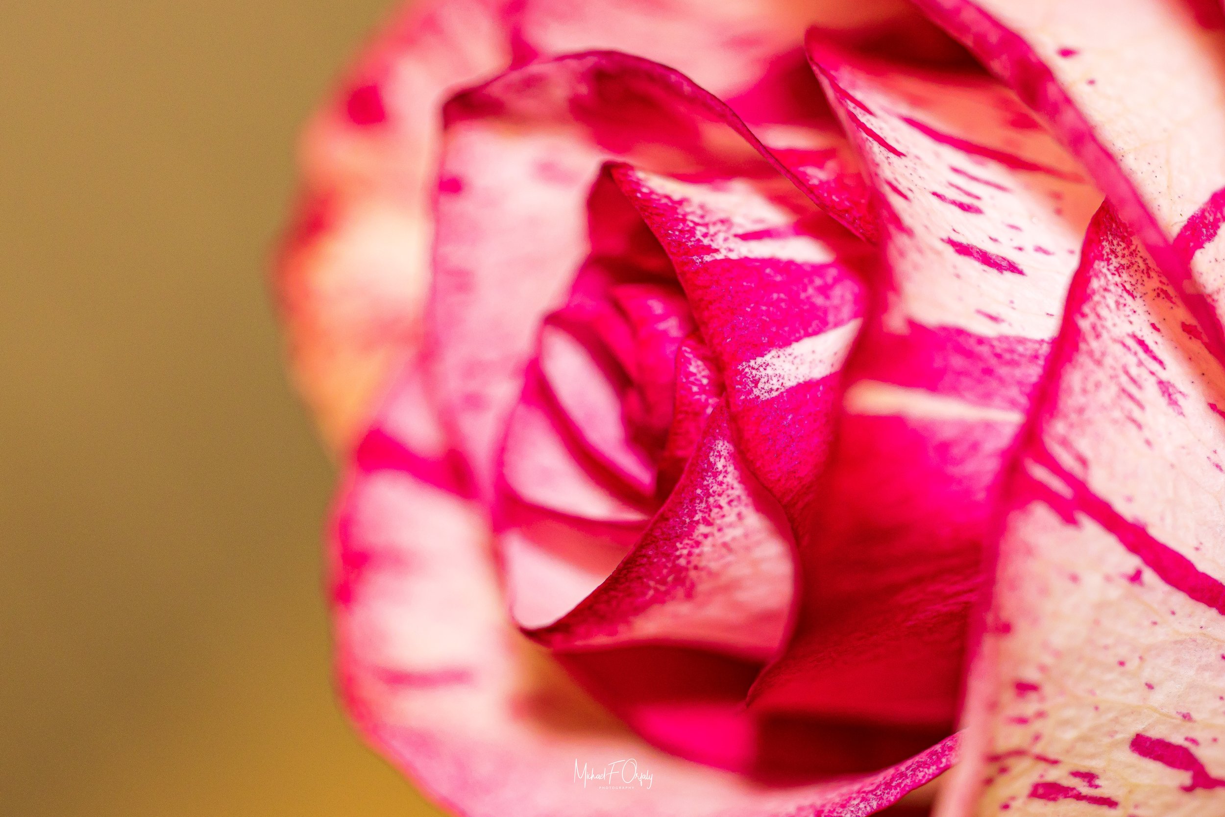 230127_R5_2709.jpg
