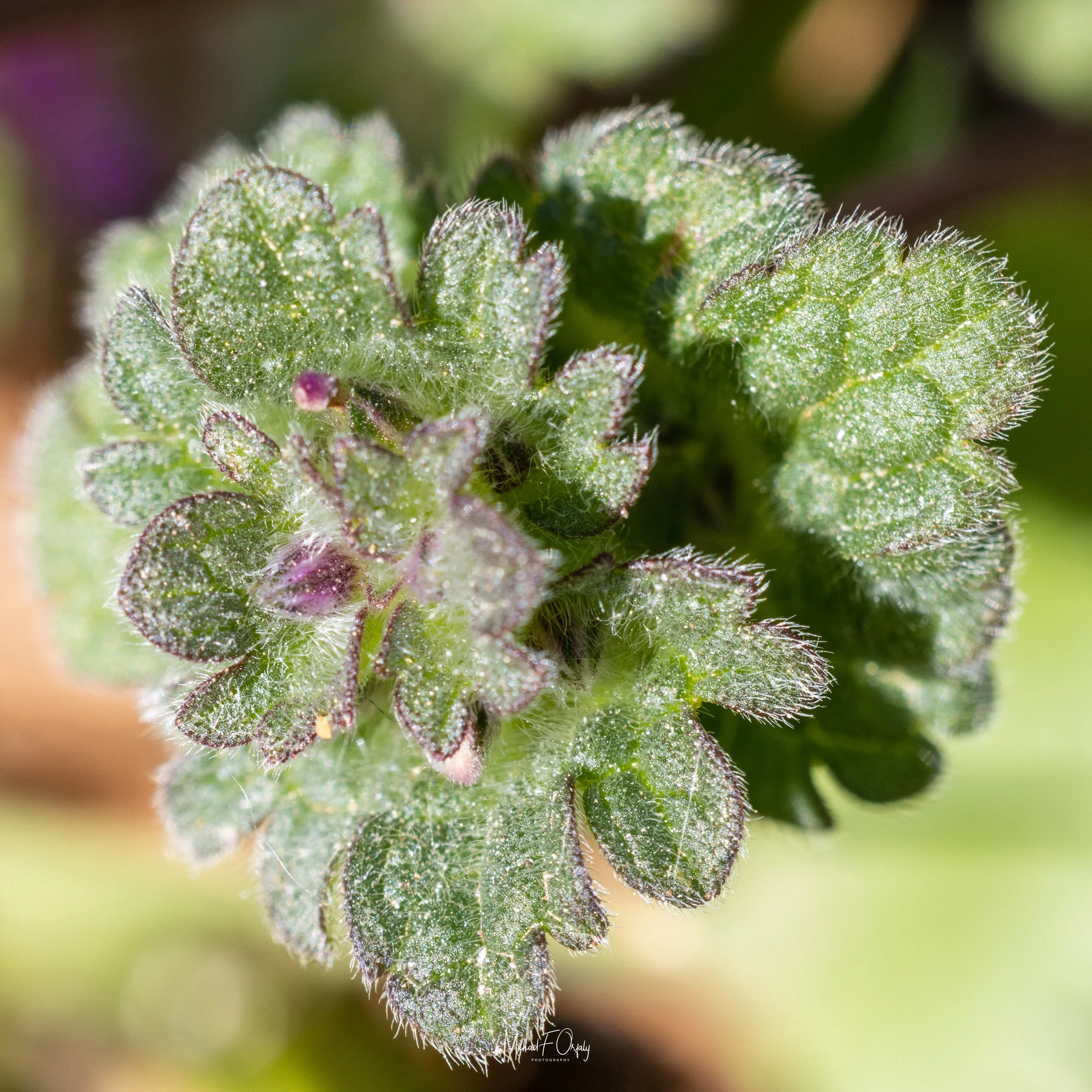 230310_R7_6068.jpg
