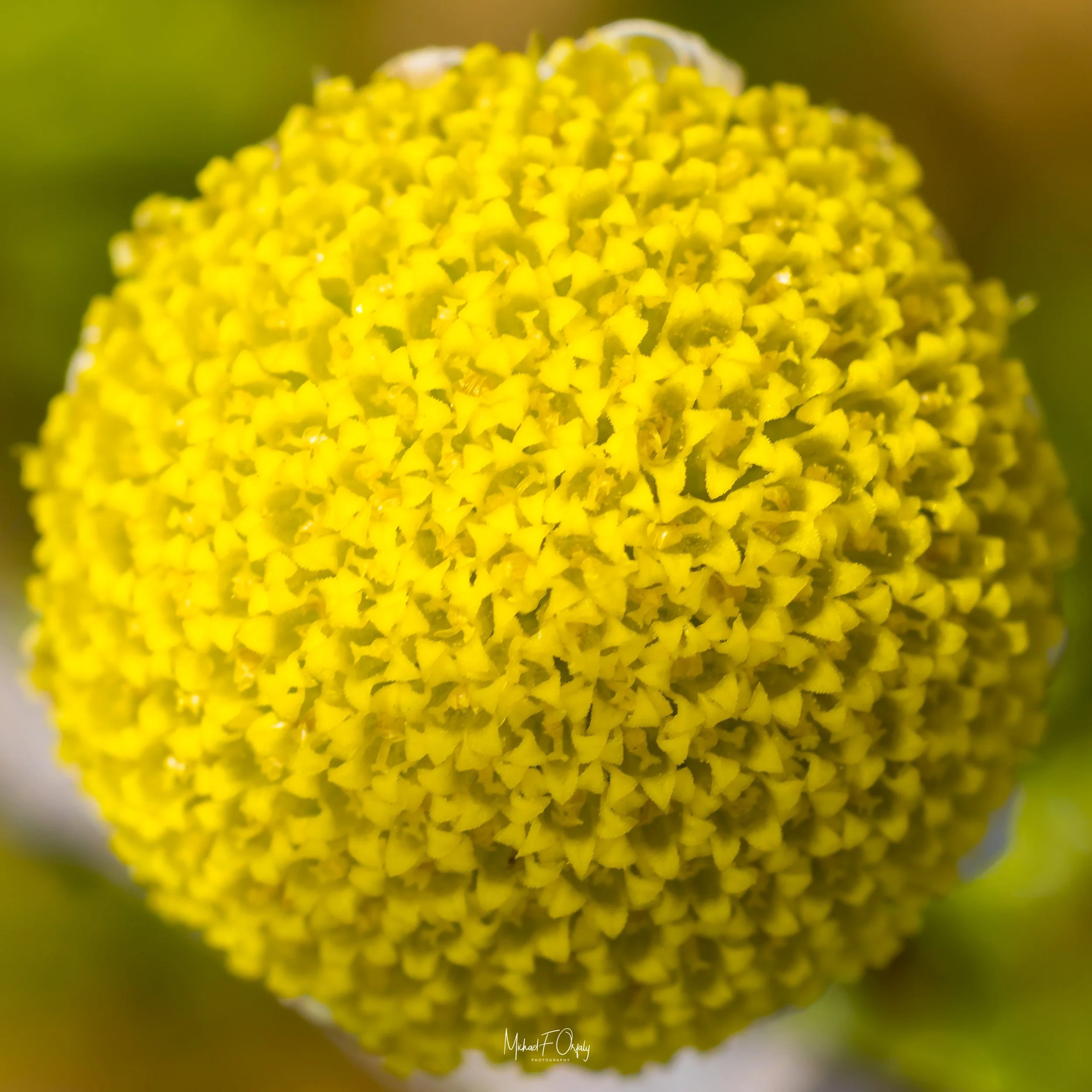 230324_R7_6981.jpg