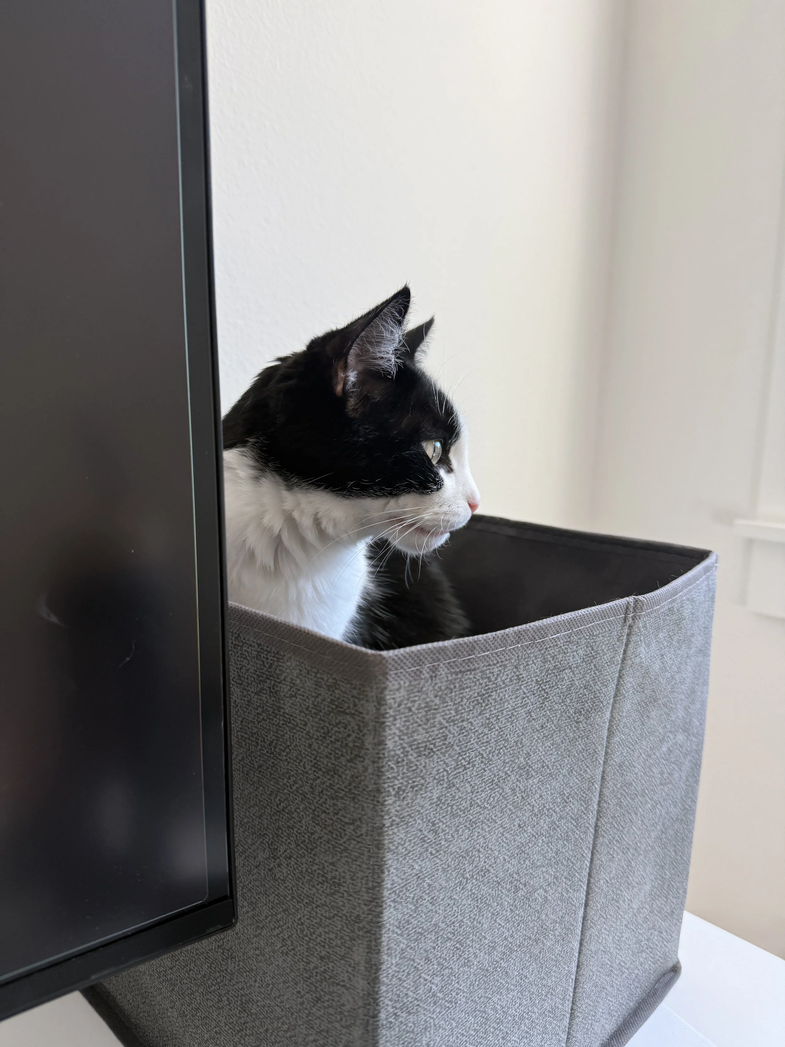 Sistema básico de toma de notas