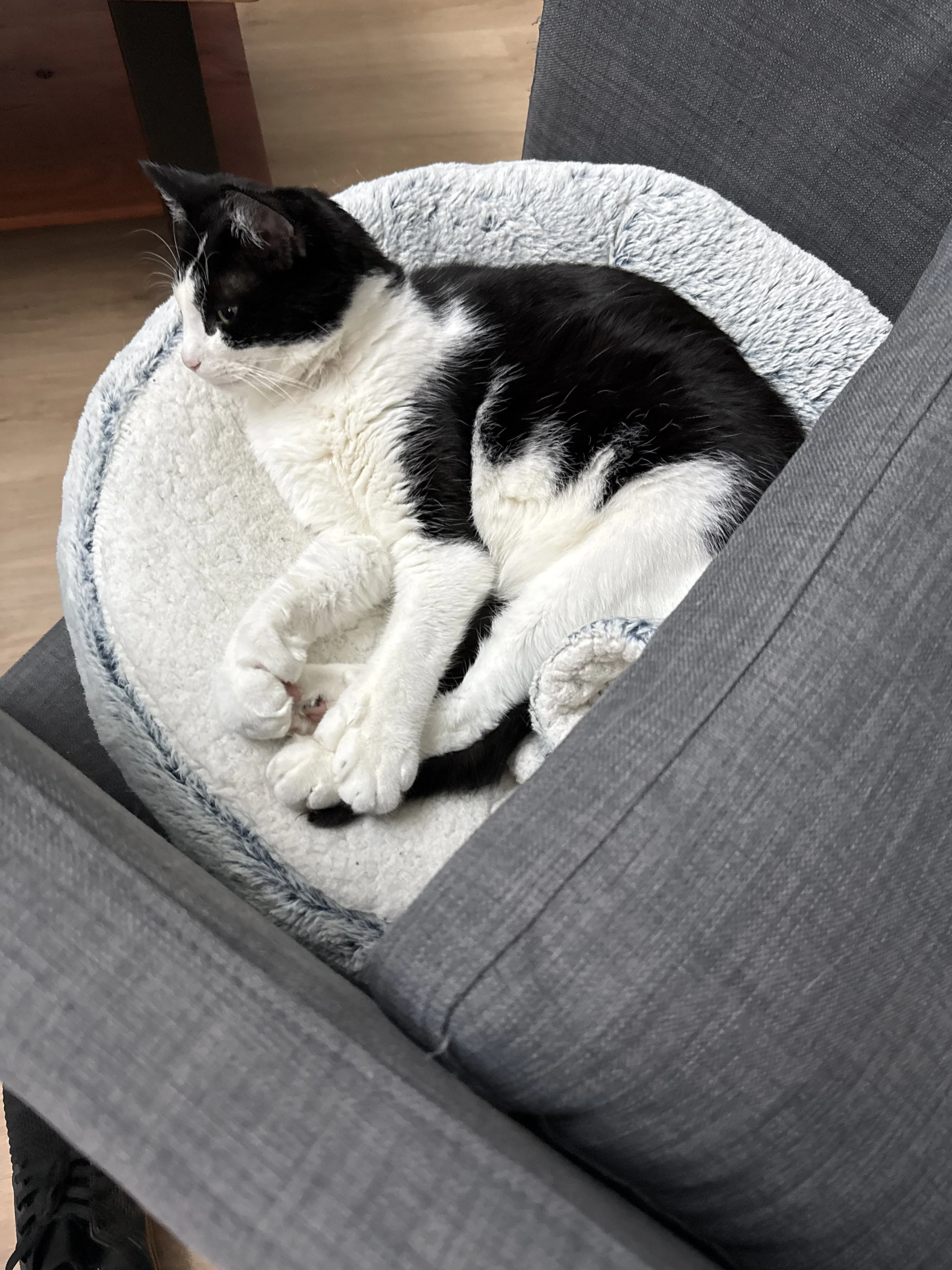 El método Zettelkasten no sirve