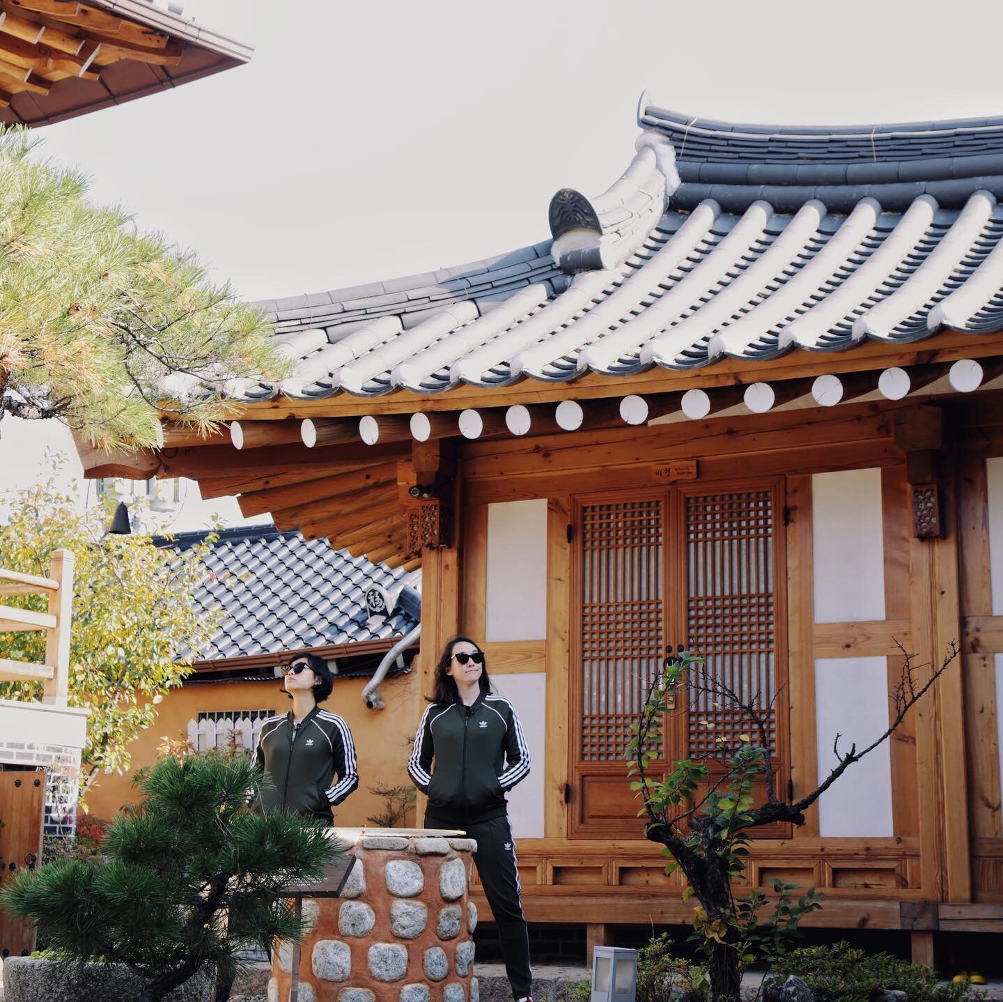 When in Gyeong-ju, every place is a Han-ok(Korean traditional houses)