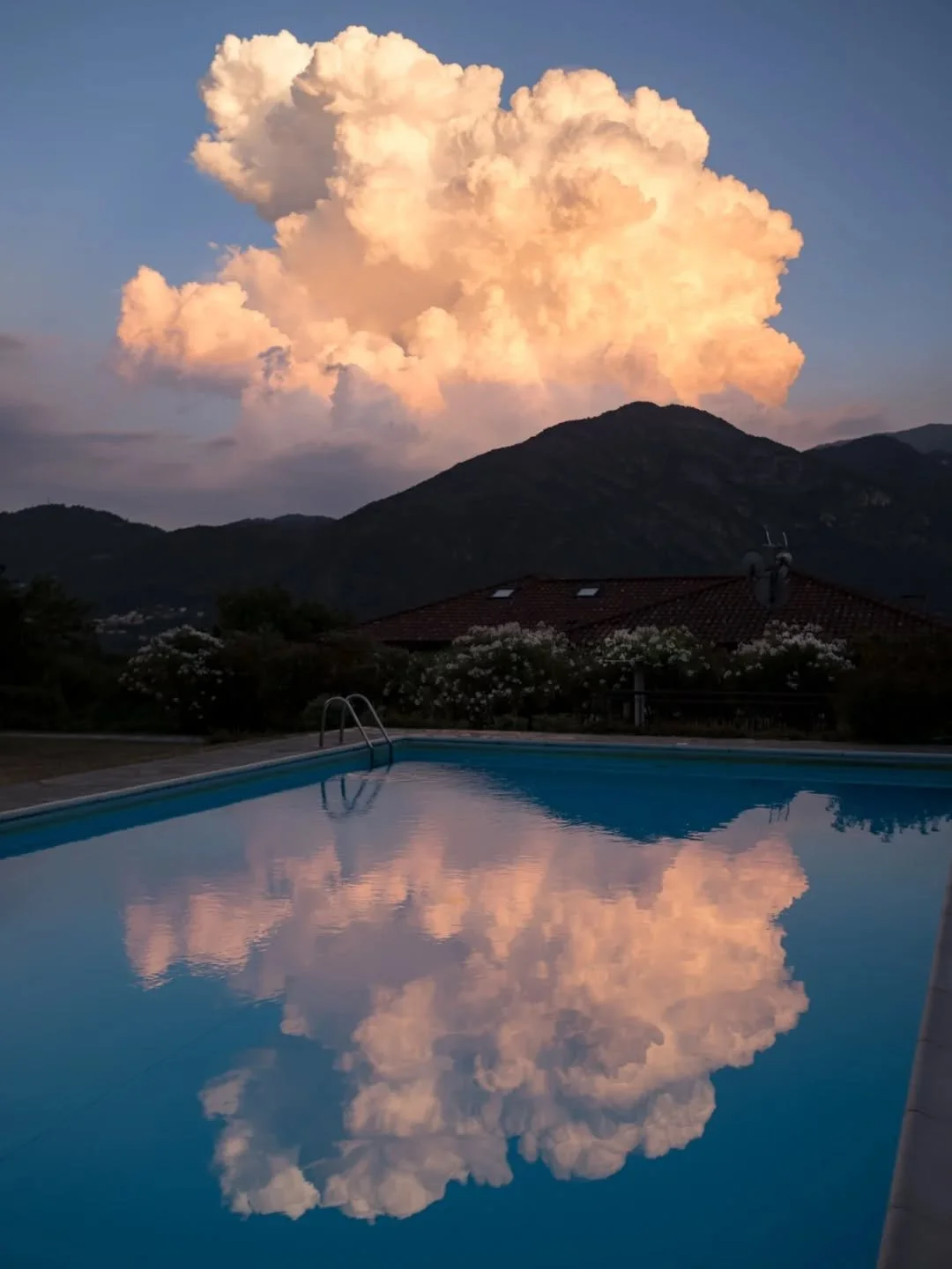 Cool pool reflections.