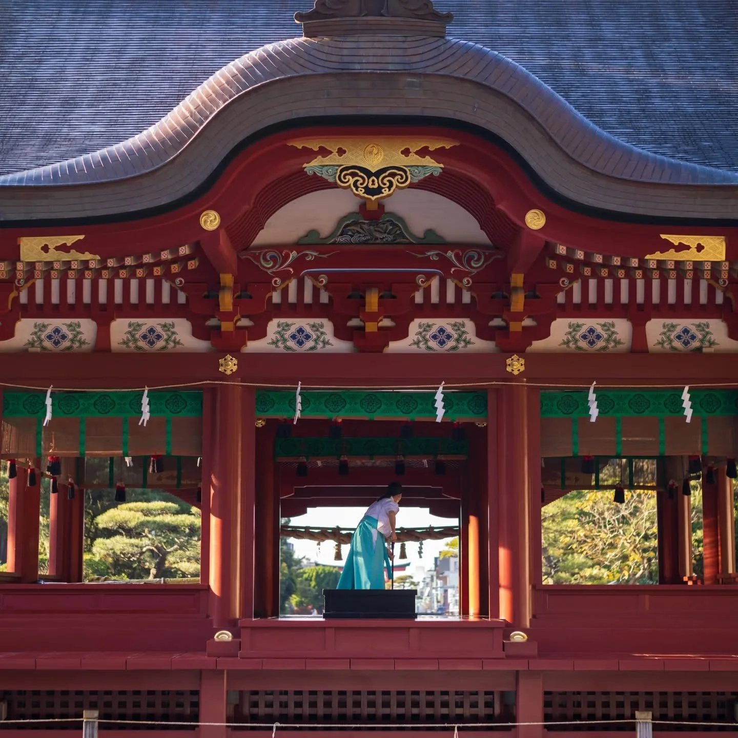 Pictures from Kamakura November 11, 2025.