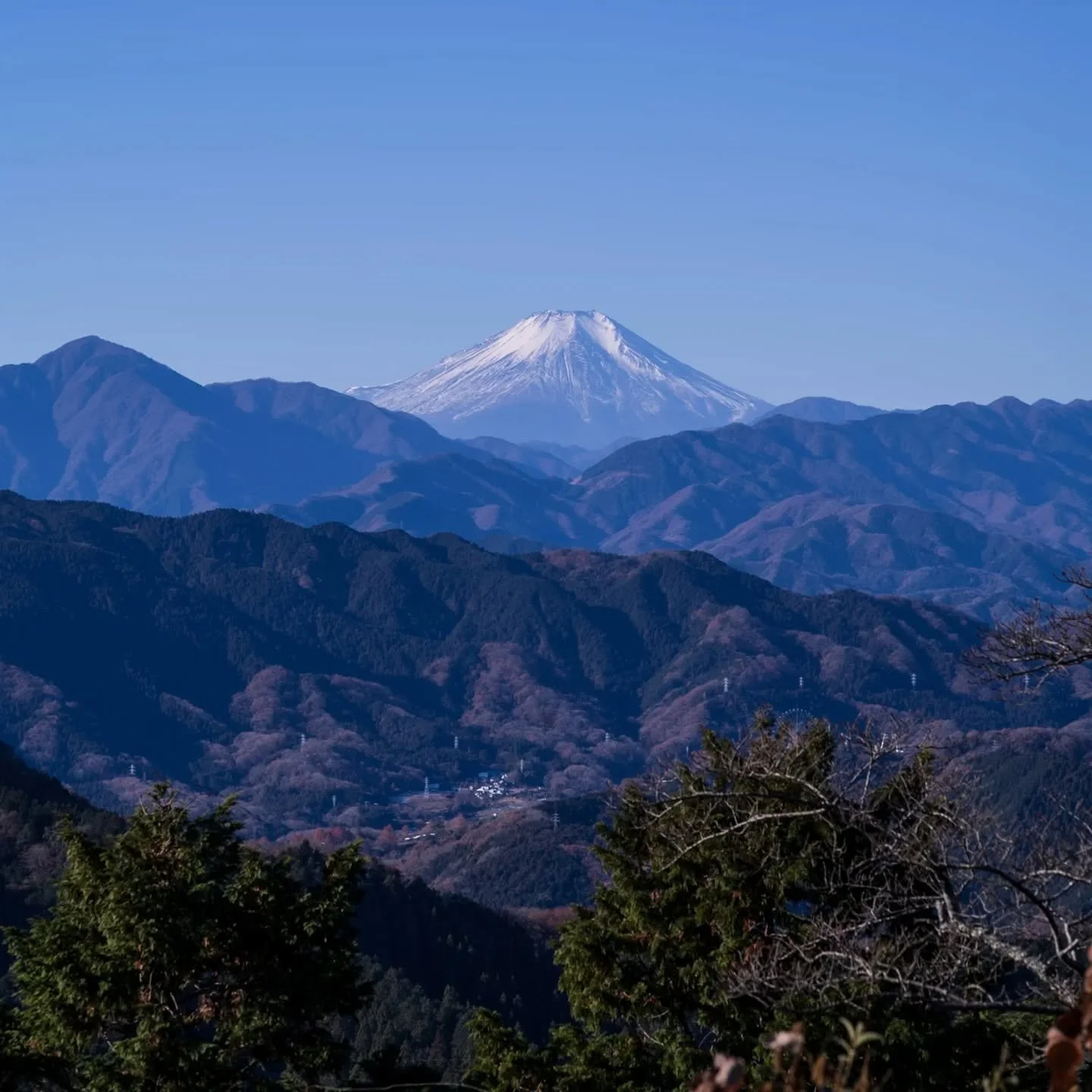 Exploring Mt. Takao and its beautiful surroundings with my good old friend Sawamoto san.