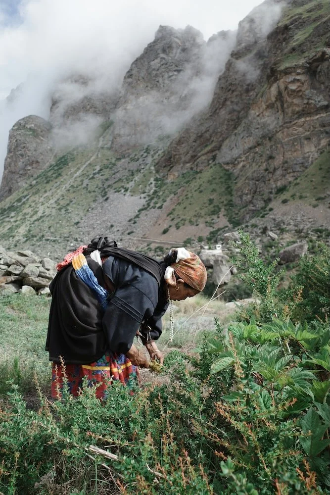 El Día de la Pachamama: What Reciprocity Can Teach a Yoga Practice