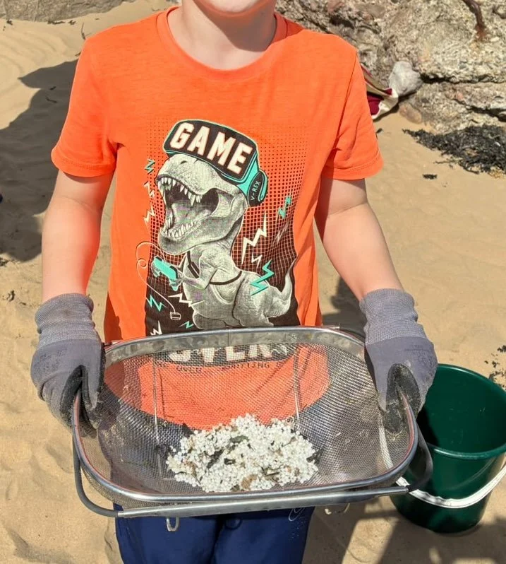 Nurdle Clean-Up: How to Keep Helping Along the North East Coast