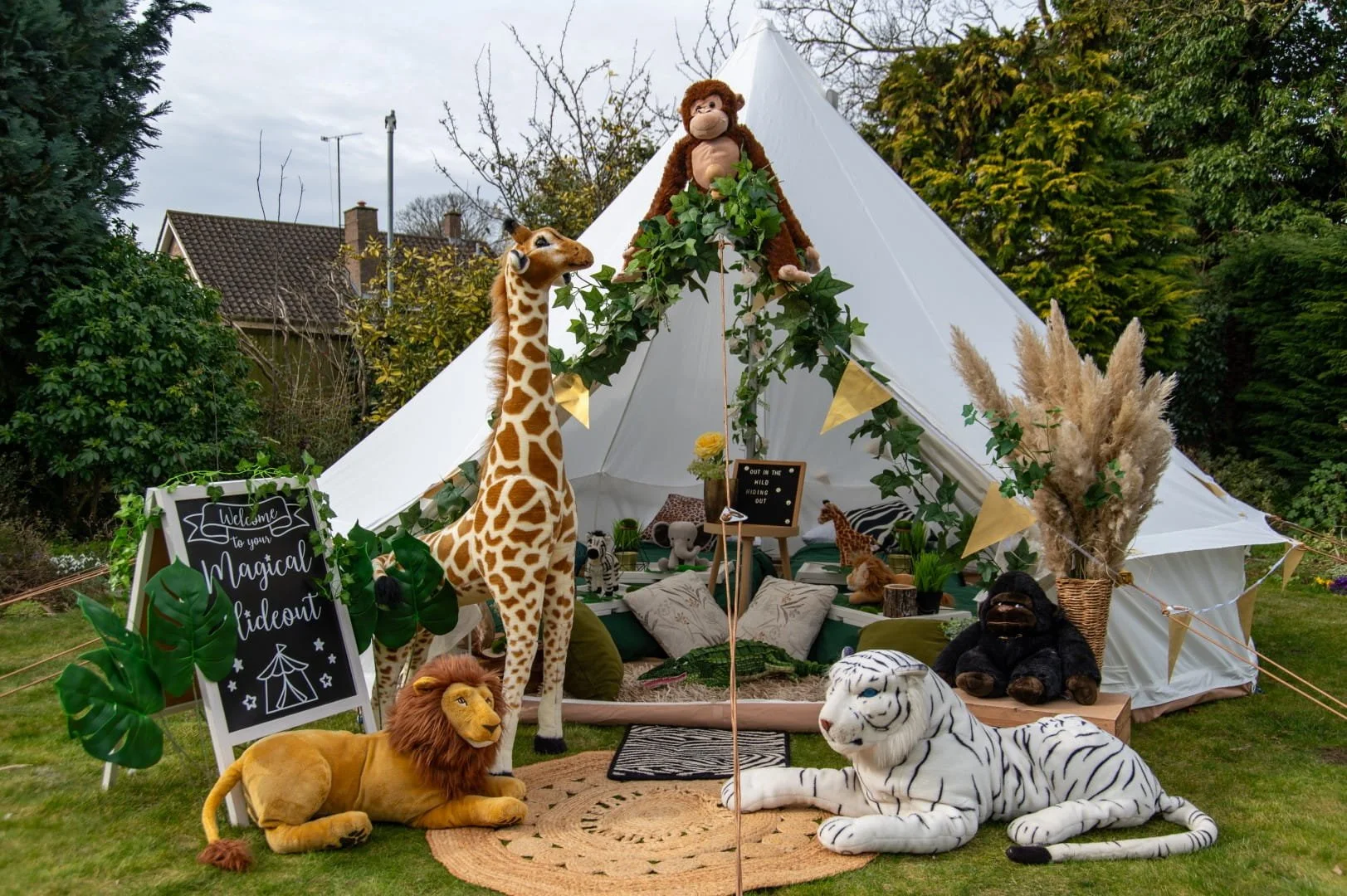 DSC_5600 (Large).jpg