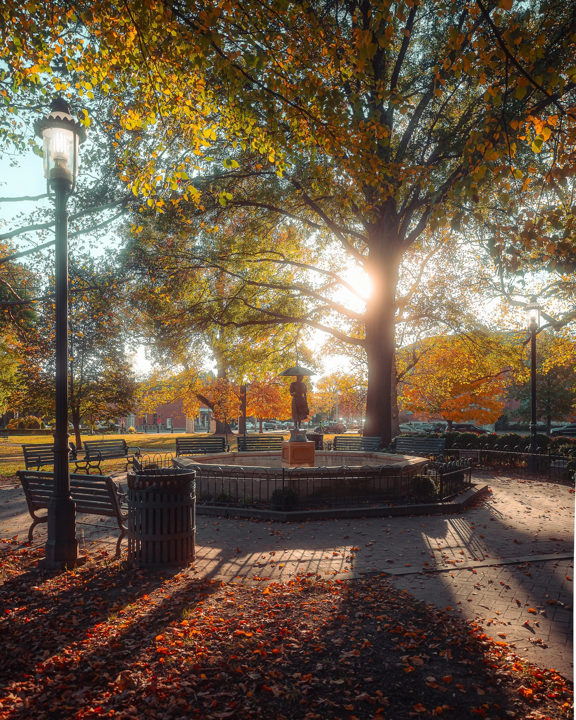 Fall Colors in Schiller Park