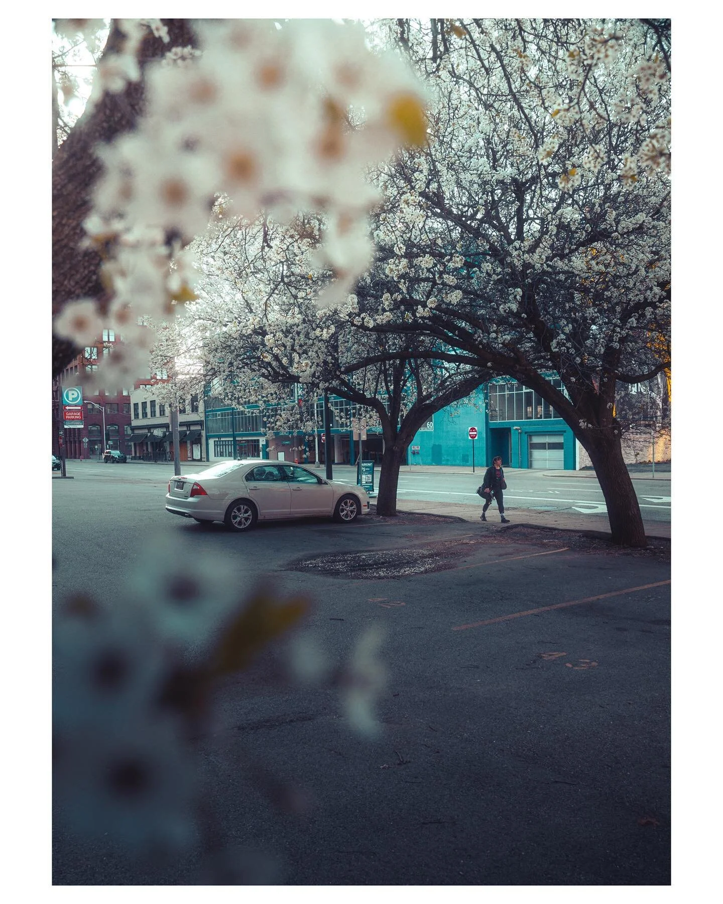 Spring time in the city