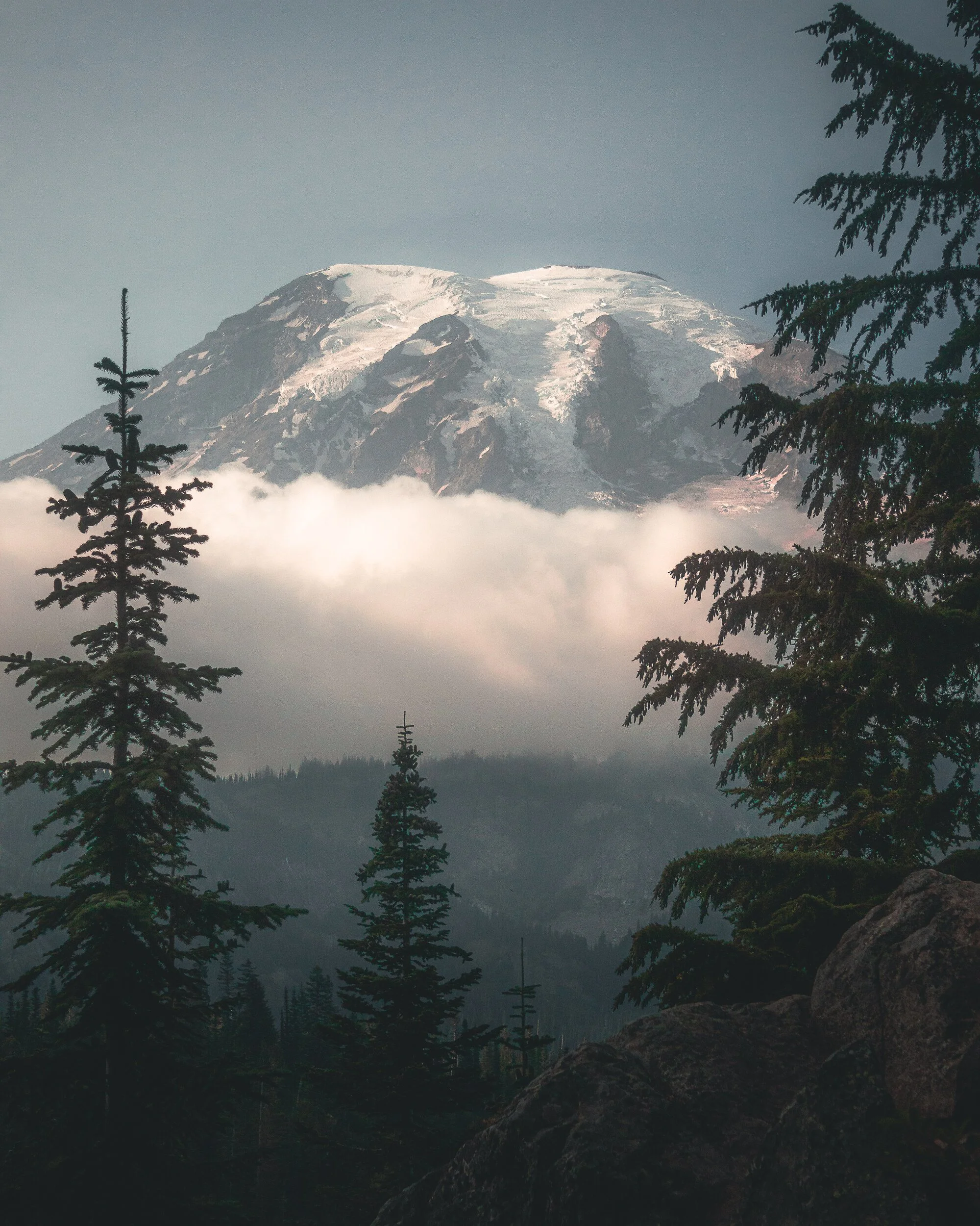 Mt. Rainier