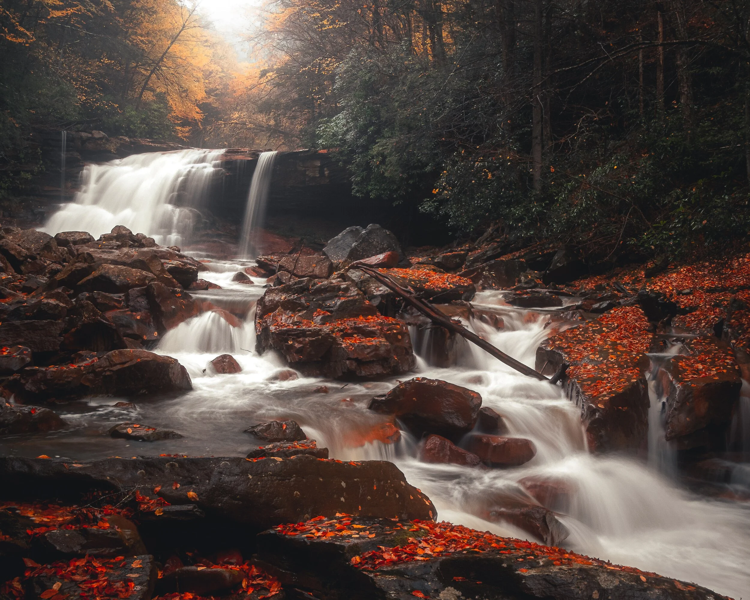 Autumn Falls