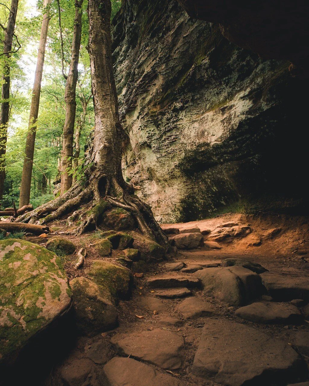Summer Magic in Cuyahoga