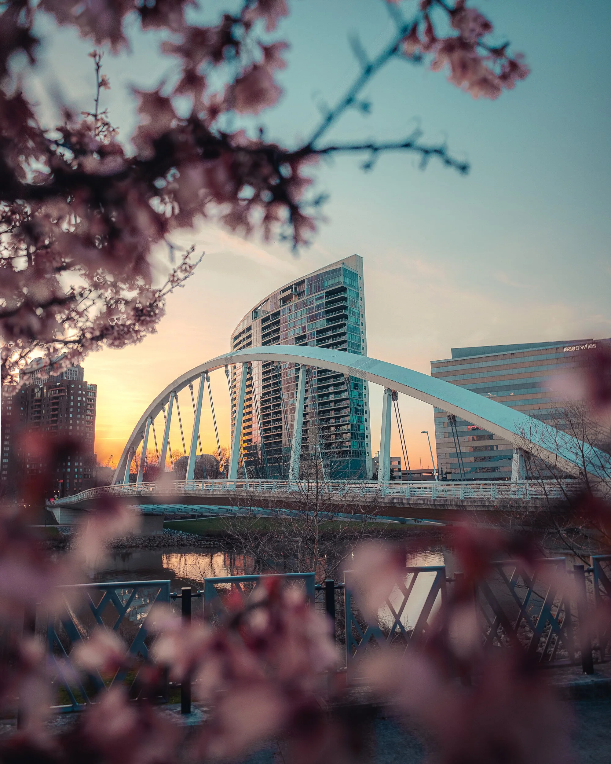 In Bloom