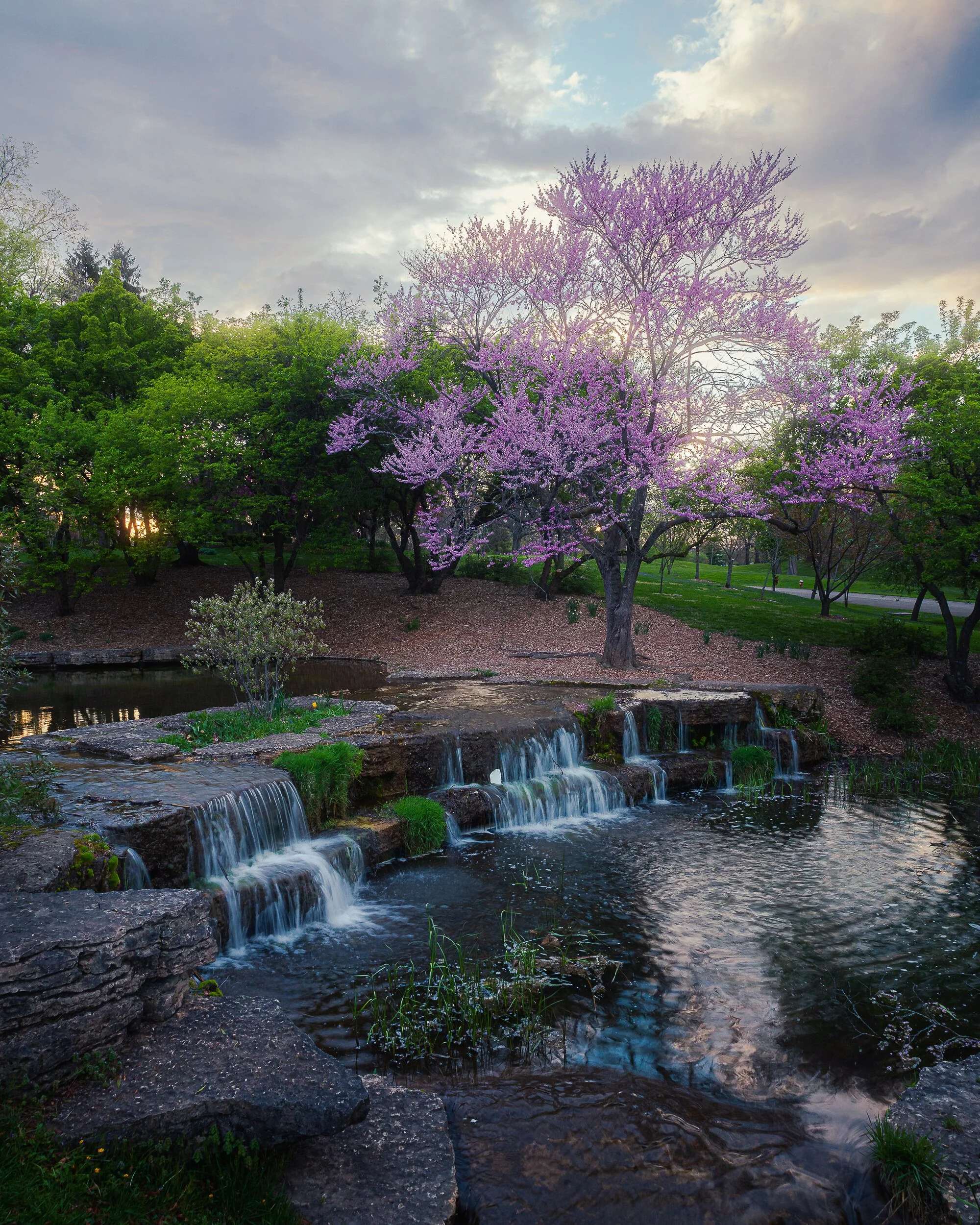 Whispers of Spring