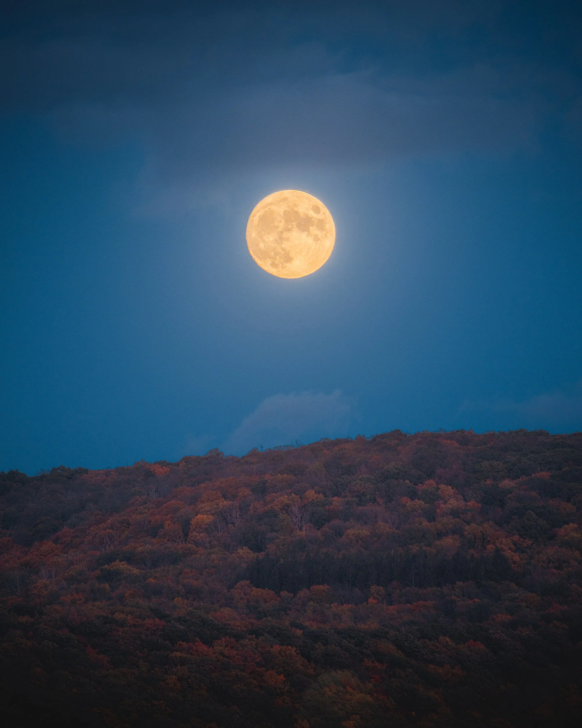 Moon in an Autumn Sky