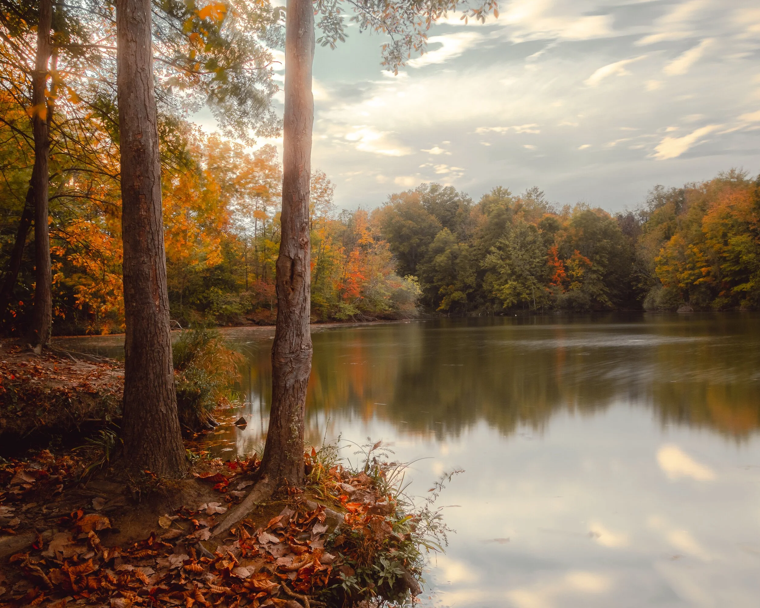 IMG_5539-HDR.jpg