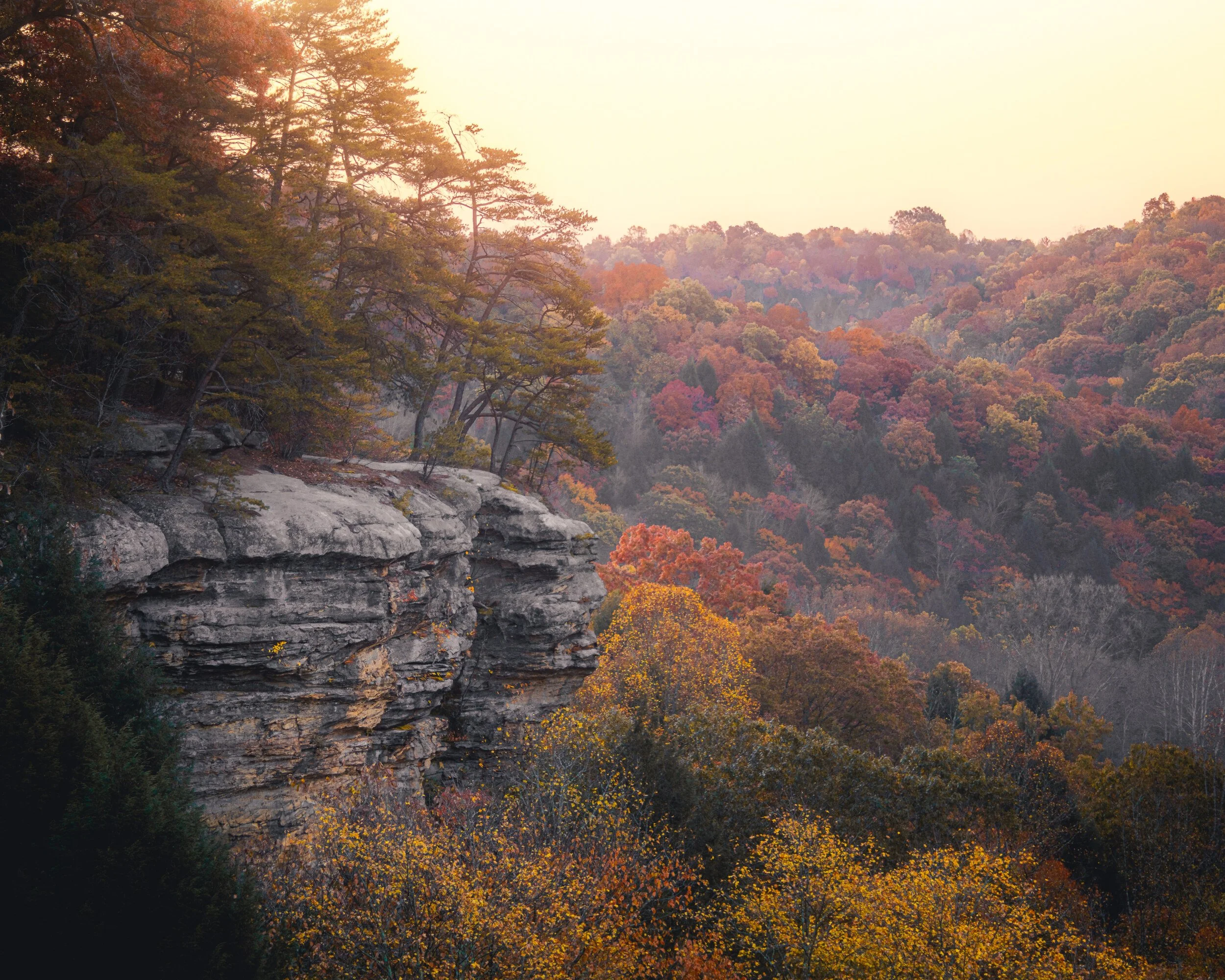 Morning Light at Conkles Hollow