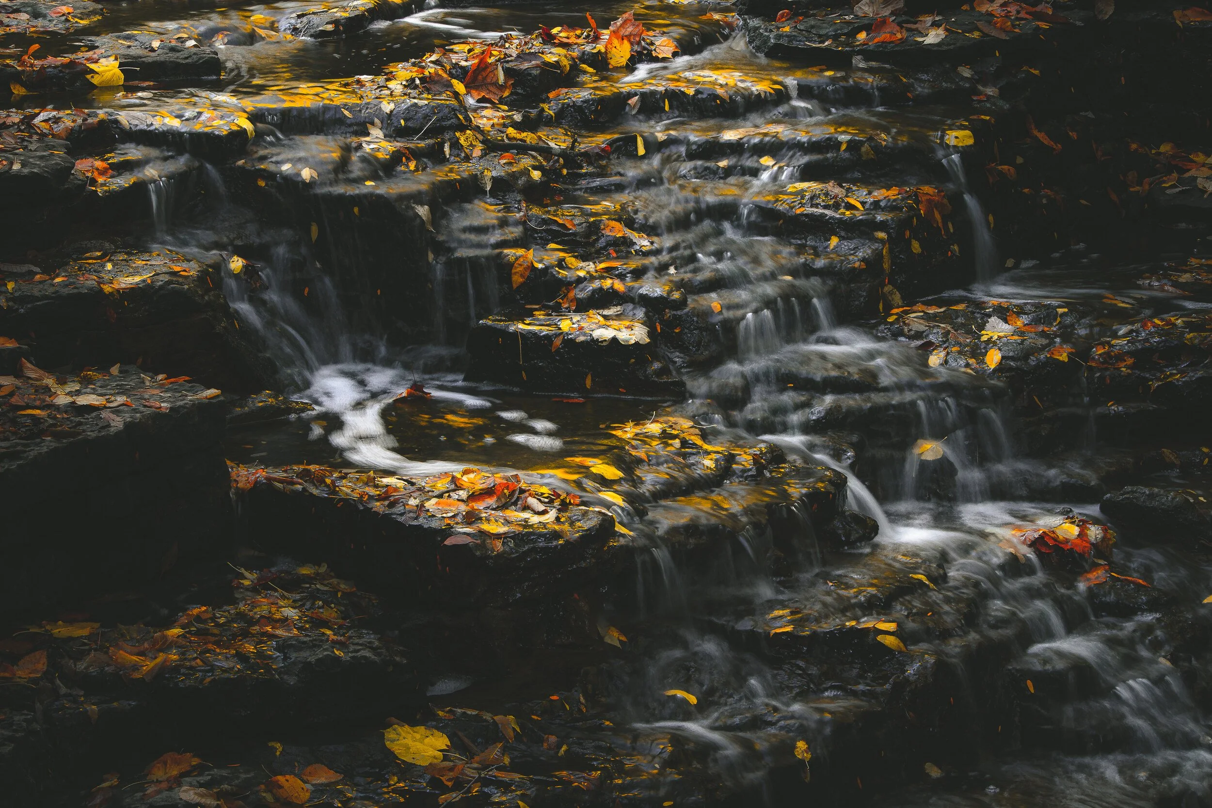 Golden Cascade