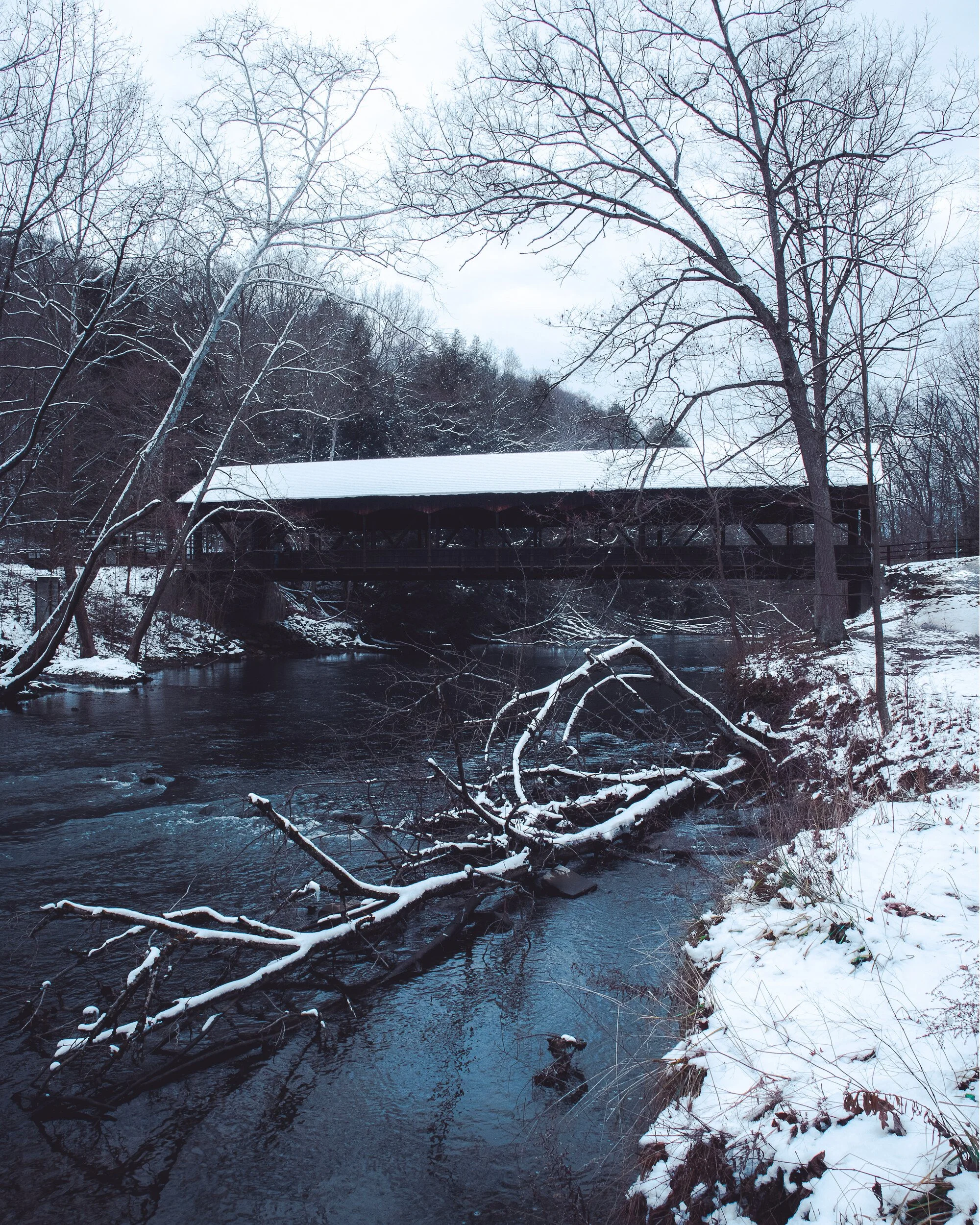 Winter Wonders at Mohican
