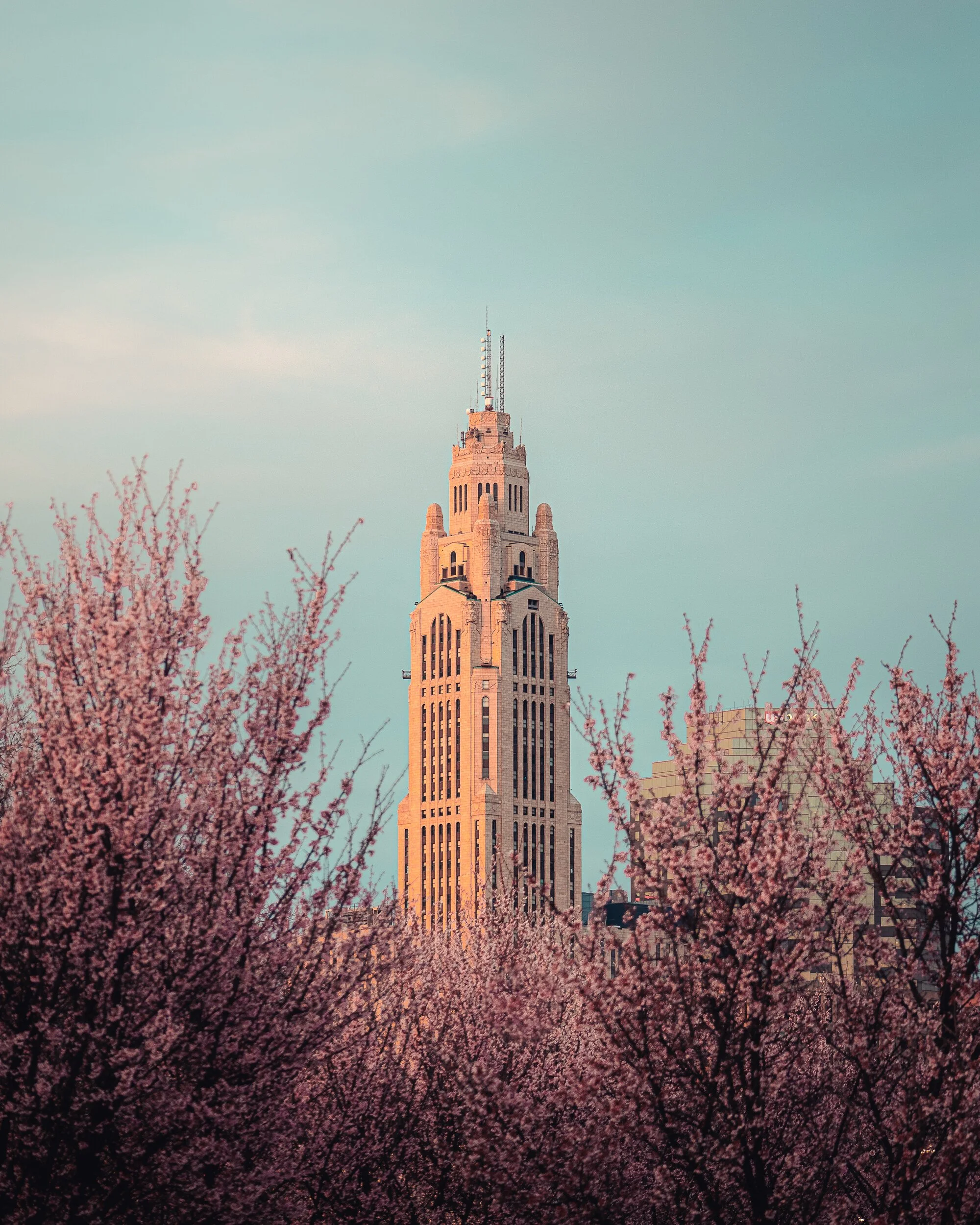 Blooms and the Leveque