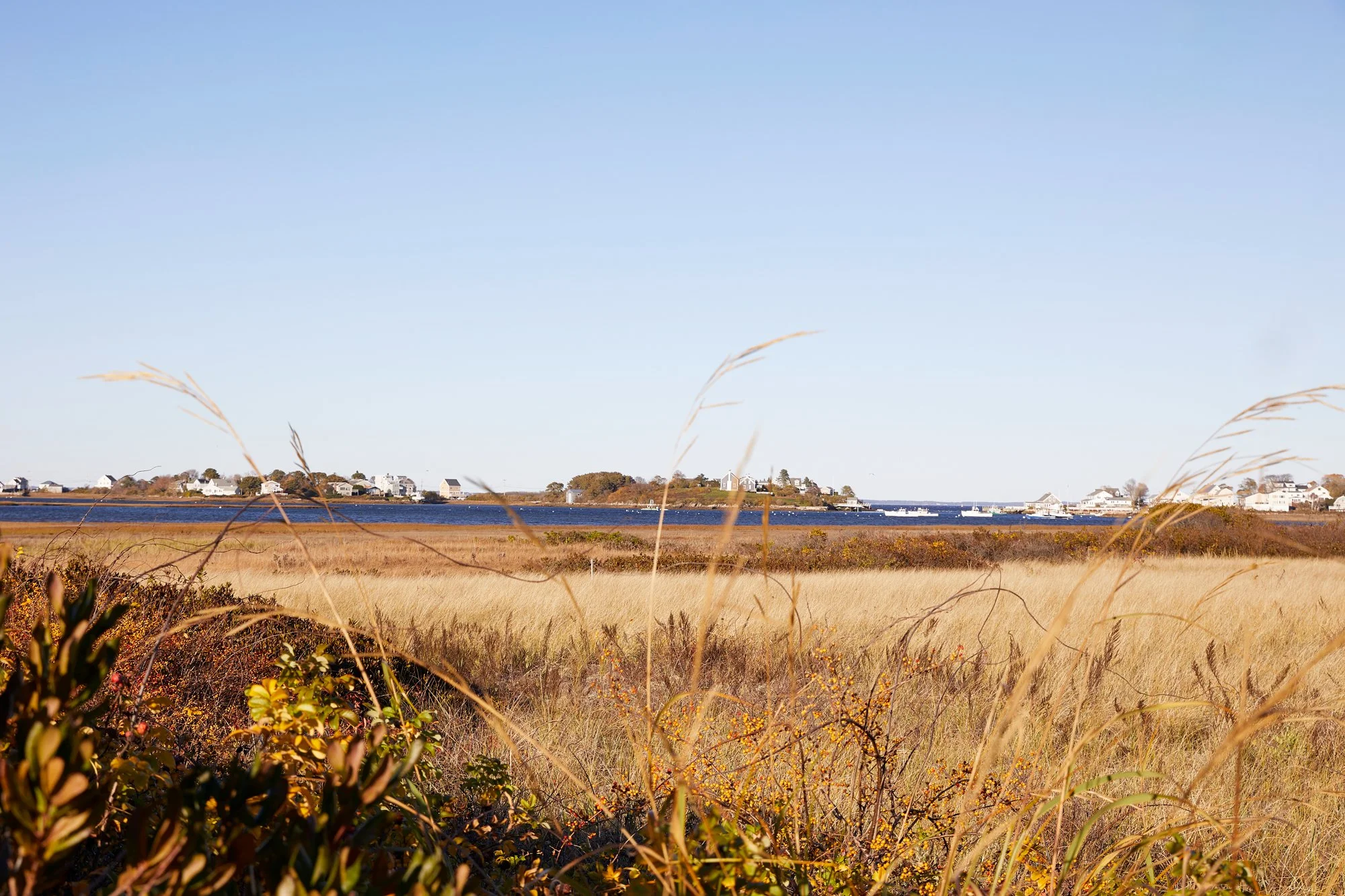 Landscape view of the Biddeford Pool coastline with lush landscapes, featured in architectural photography by Liz Daly.