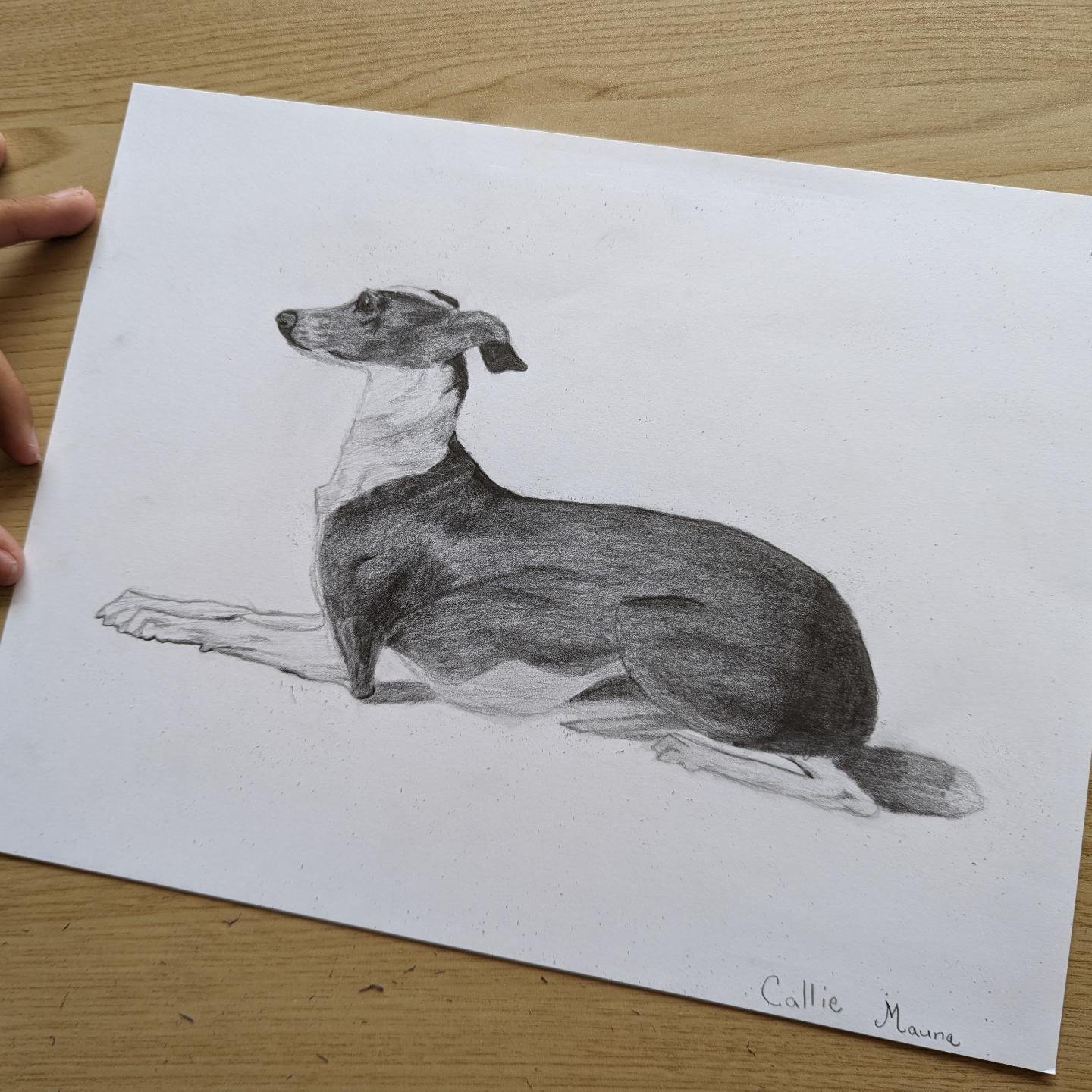 Our middle school student, Callie, just completed this exceptional pencil drawing of a dog. Great work! 

#artclass #artstudent #kidsart