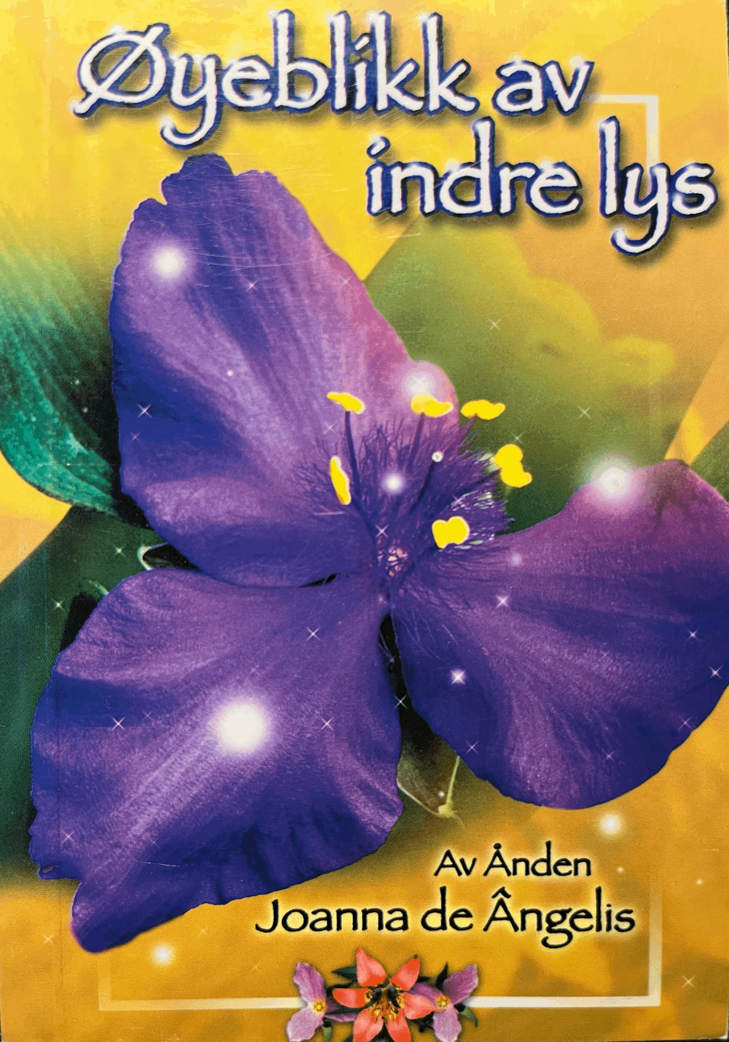 Øyeblikk av Indre Lys