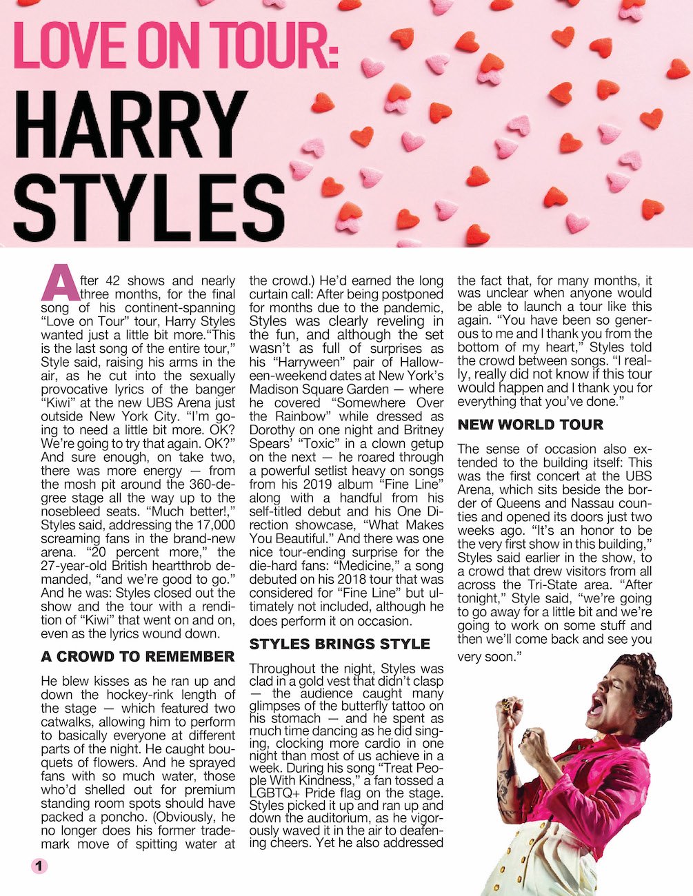 SLHarryStylesPortfolio.jpg