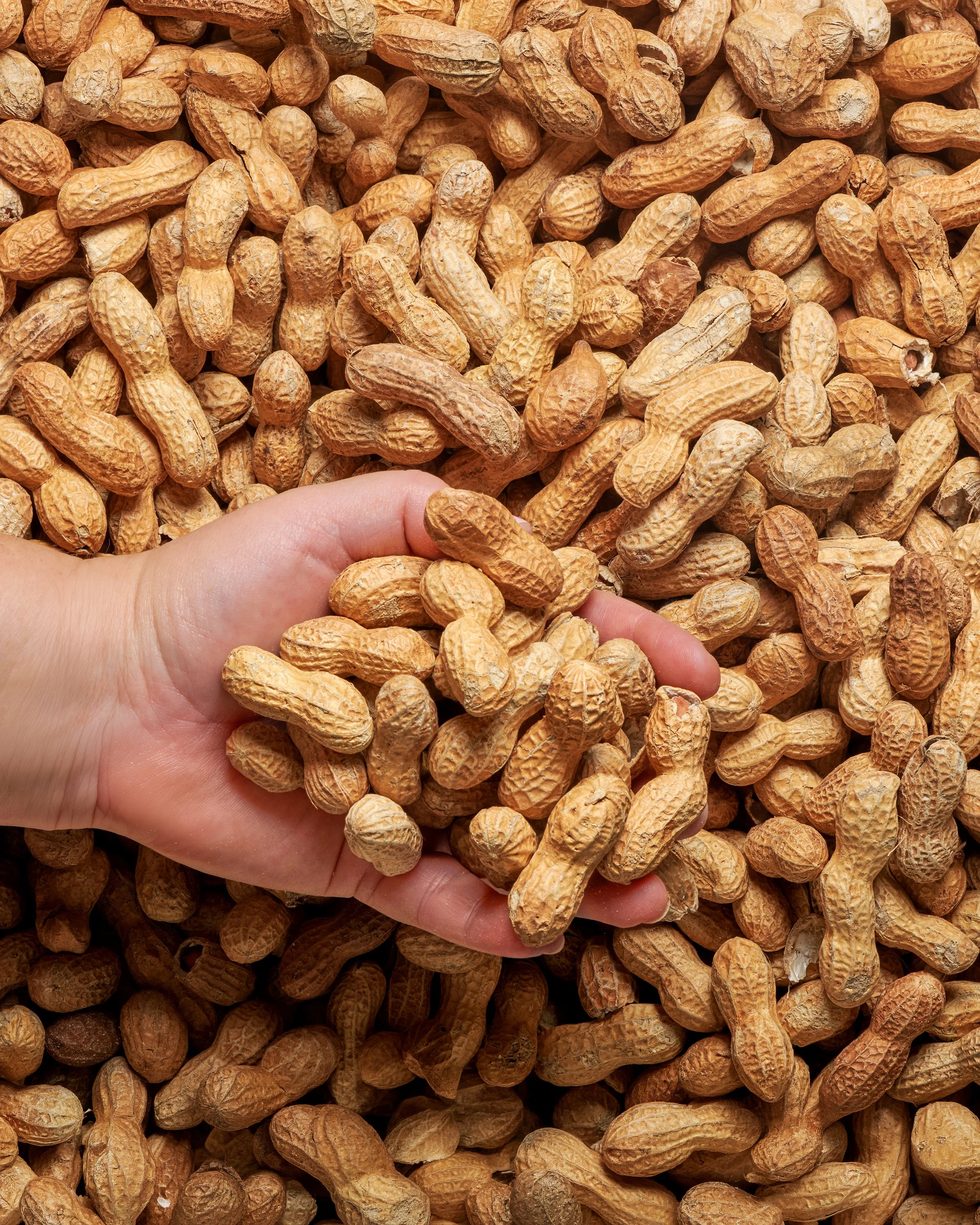 Handful of shelled.jpg