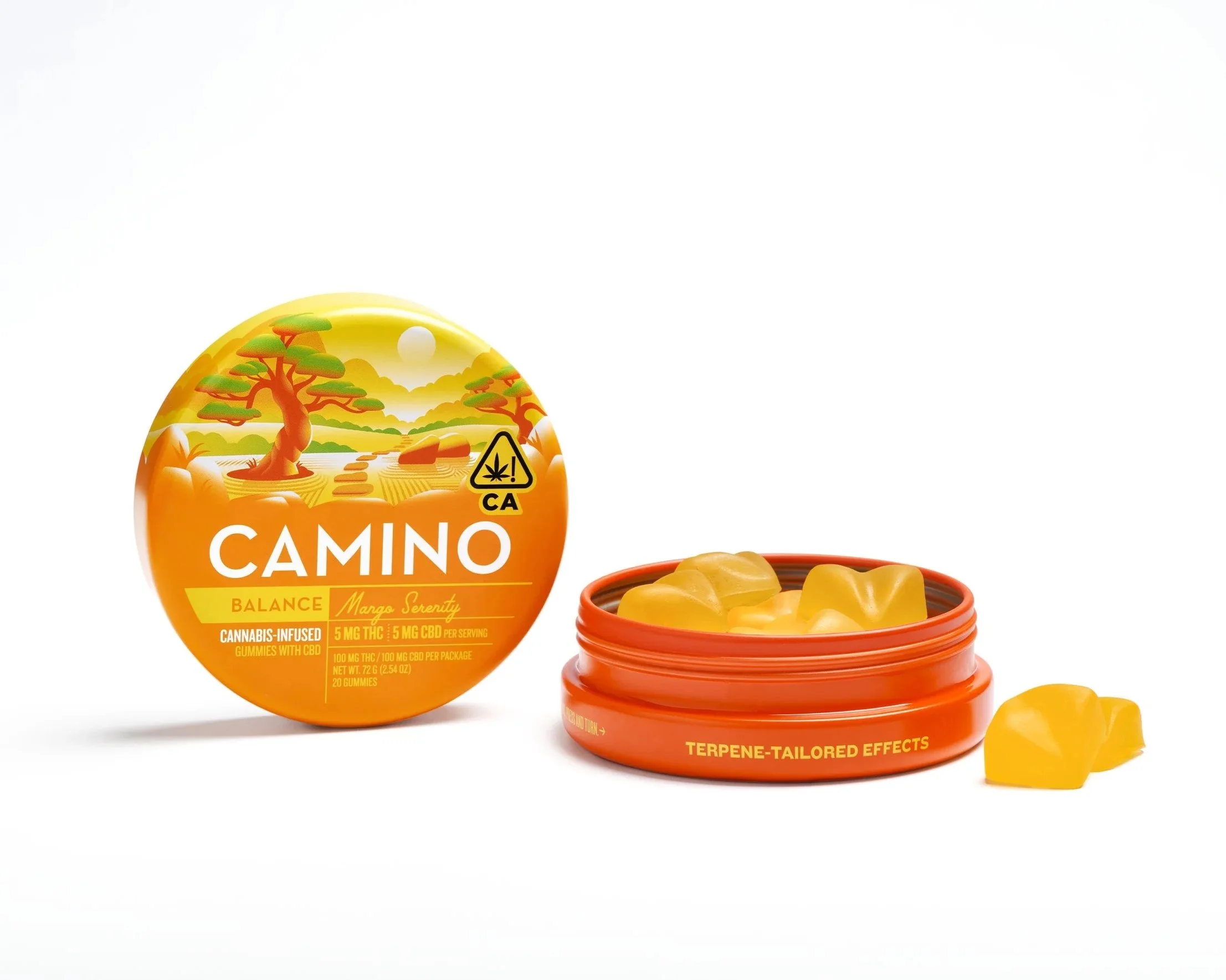 Camino+Tin+and+Raw+May+202624916.jpg