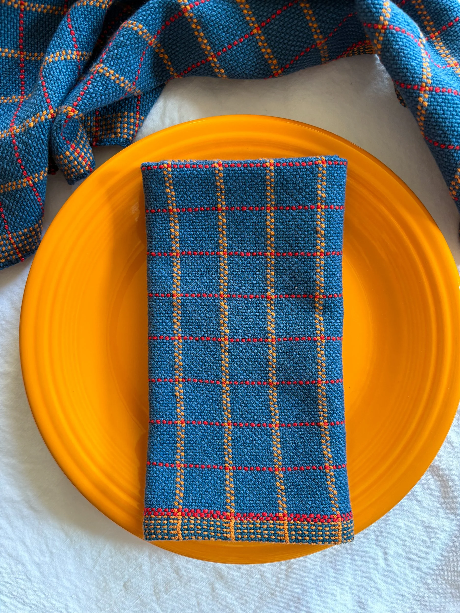 Running Stitch Napkins - Parrot