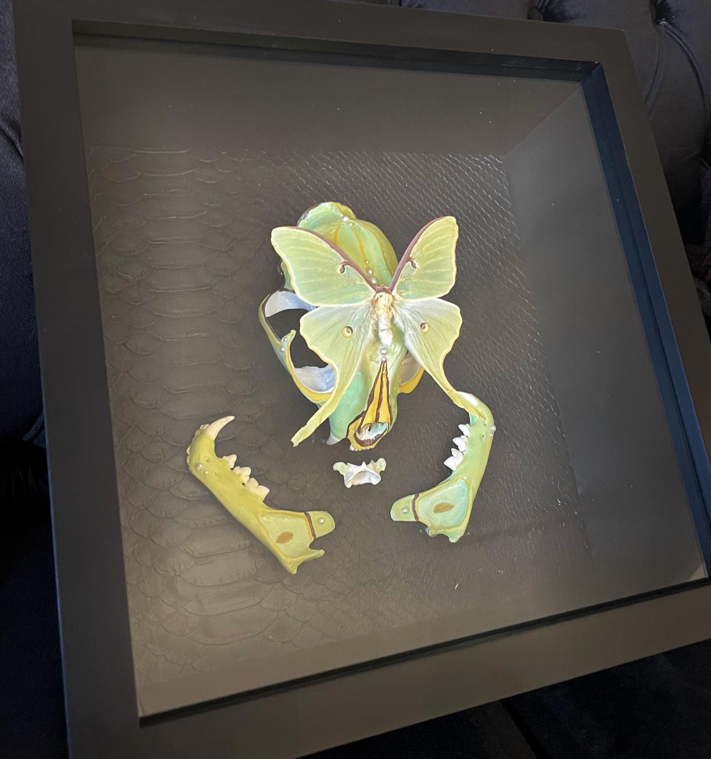 image2-27.jpeg