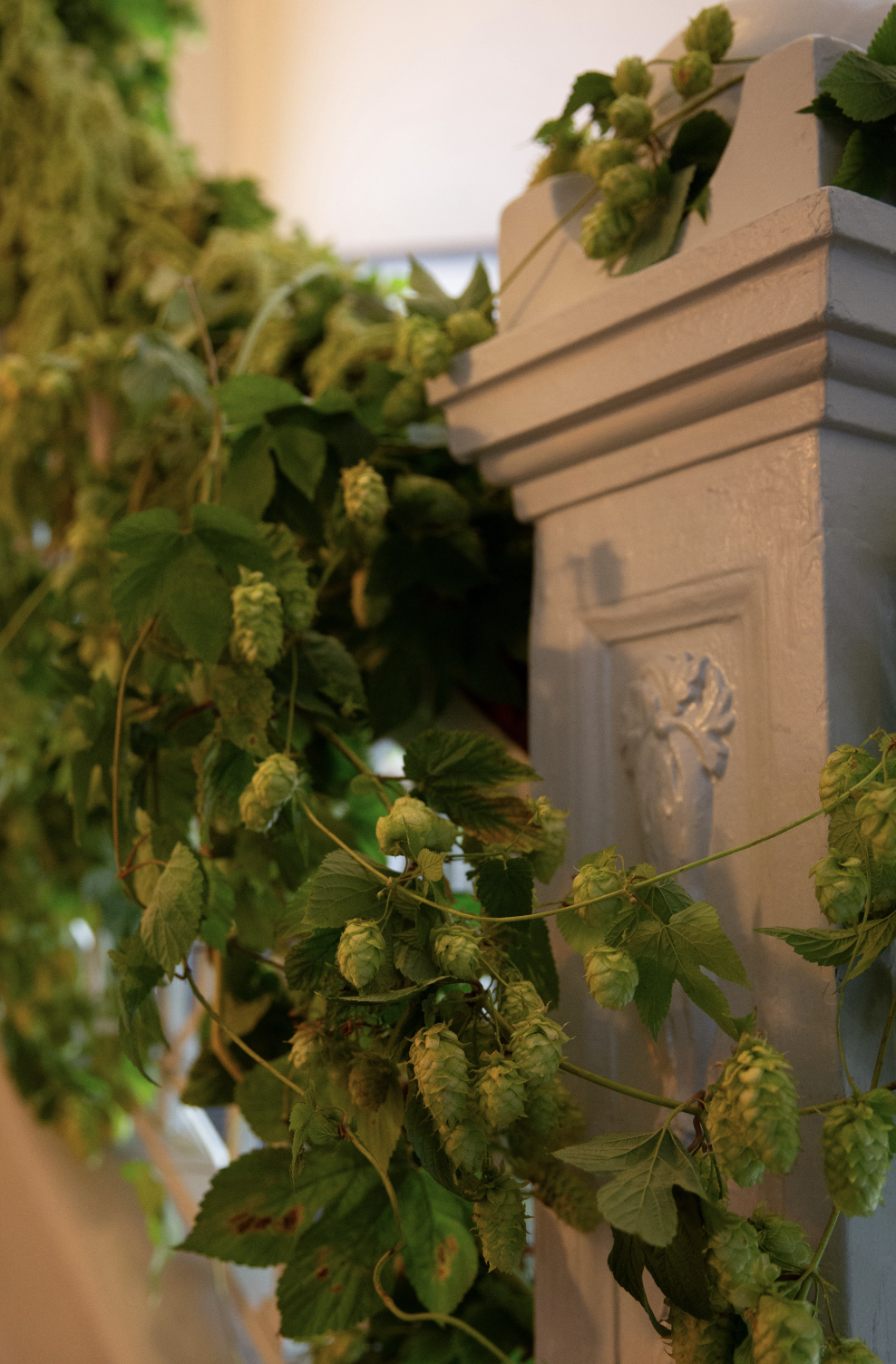 Screenshot 2025-12-23 at 7.38.03 PM.png