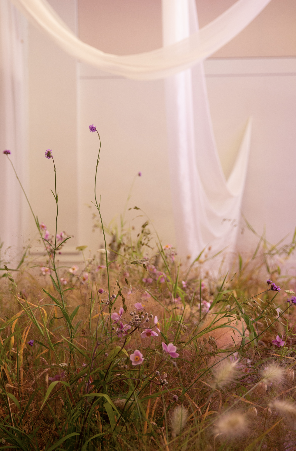 Screenshot 2025-12-23 at 7.42.20 PM.png