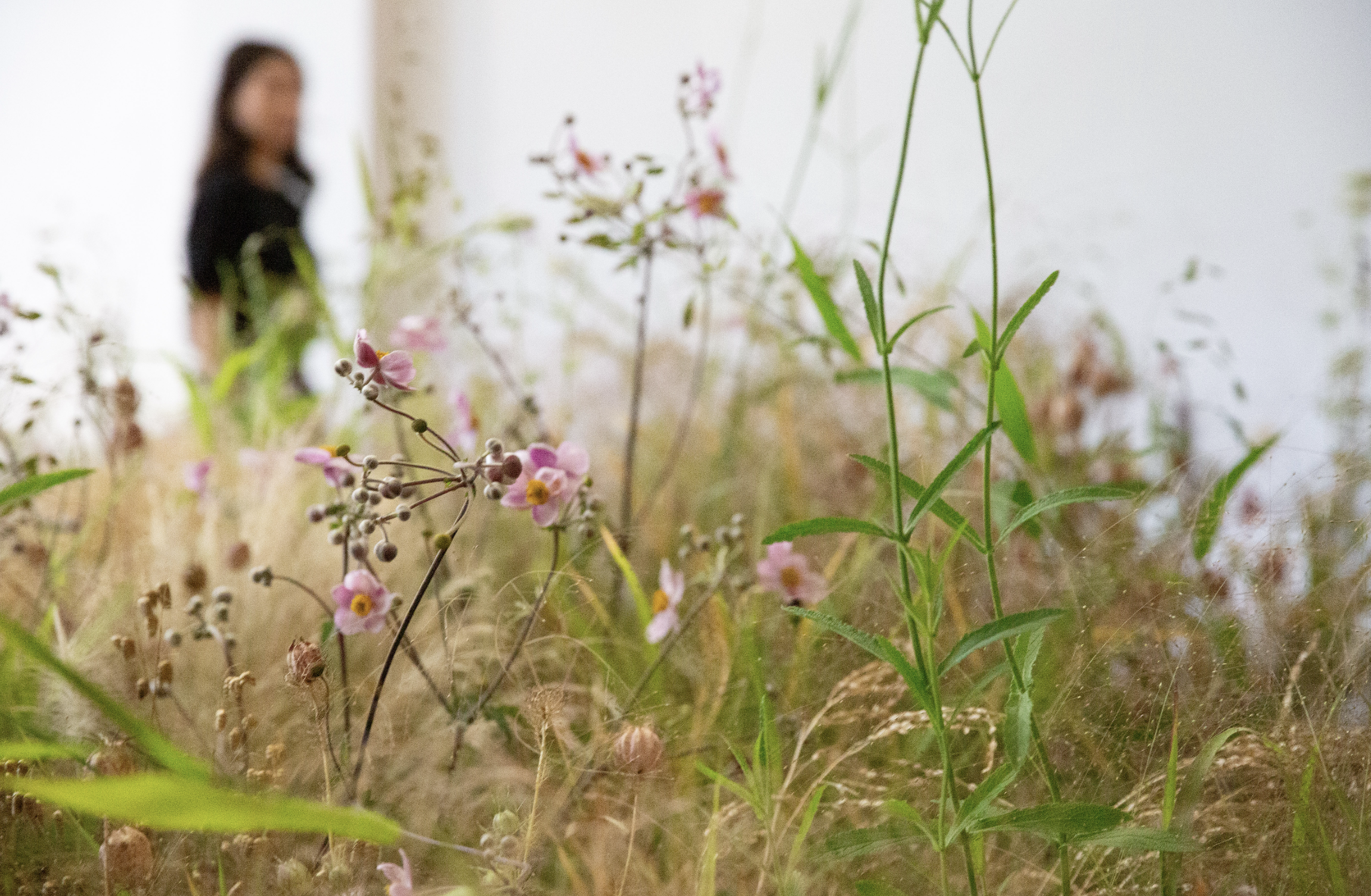 Screenshot 2025-12-23 at 7.38.32 PM.png