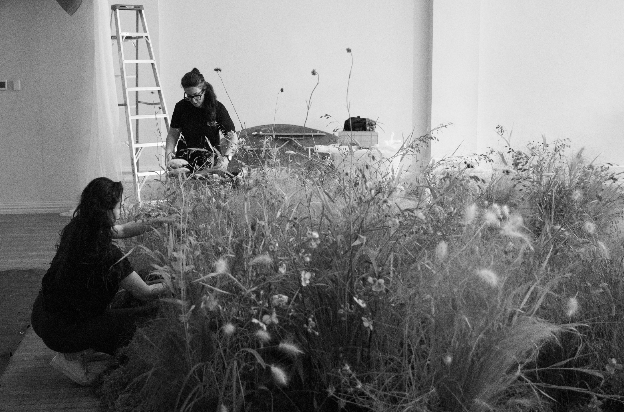 Screenshot 2025-12-23 at 7.38.15 PM.png