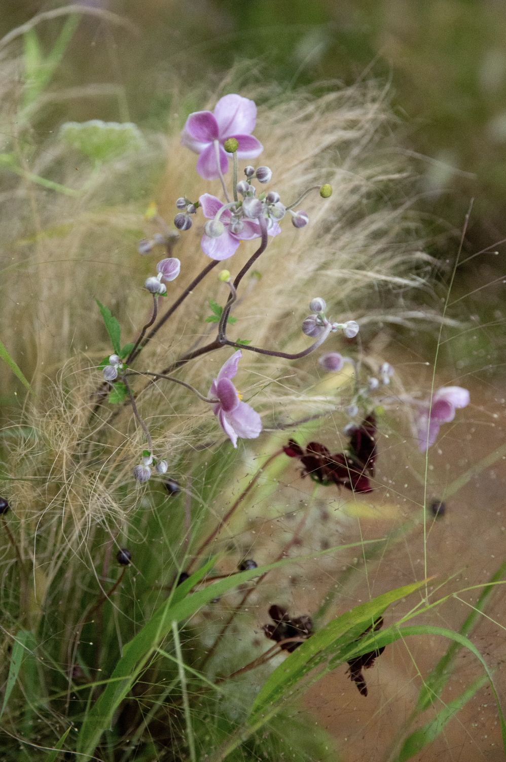 Screenshot 2025-12-23 at 7.38.09 PM.png