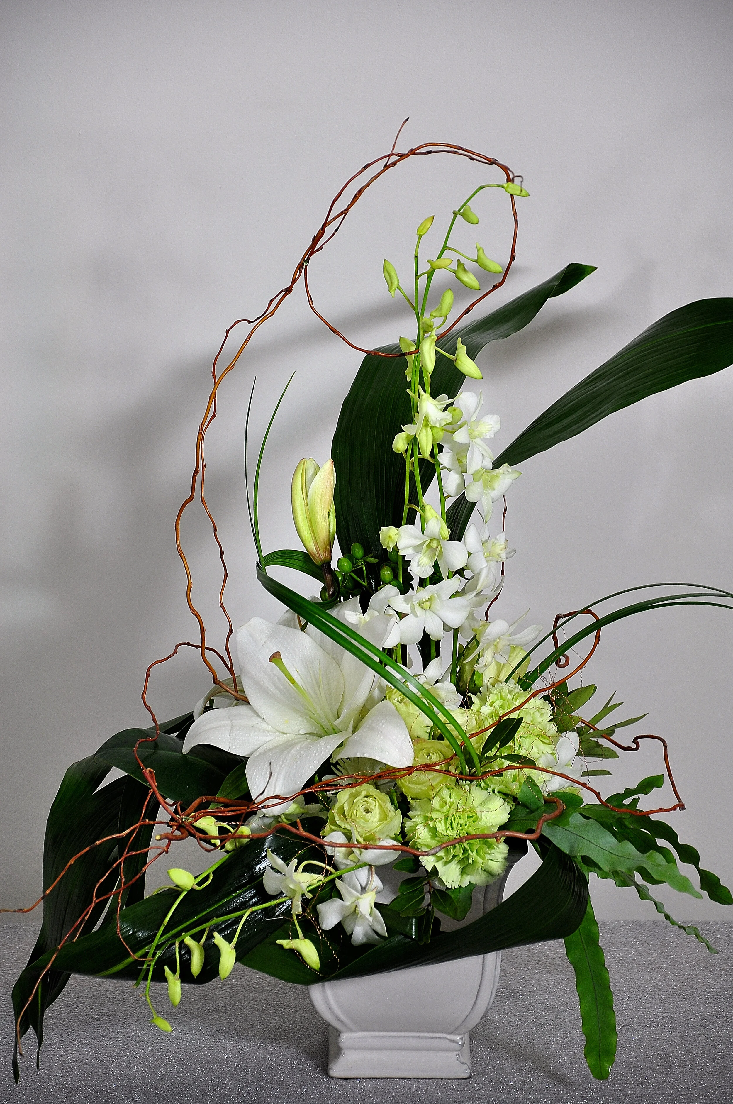 5DSC_0133Nx.JPG