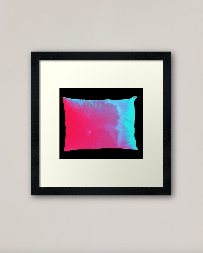FRAMED PRINT: $80.81